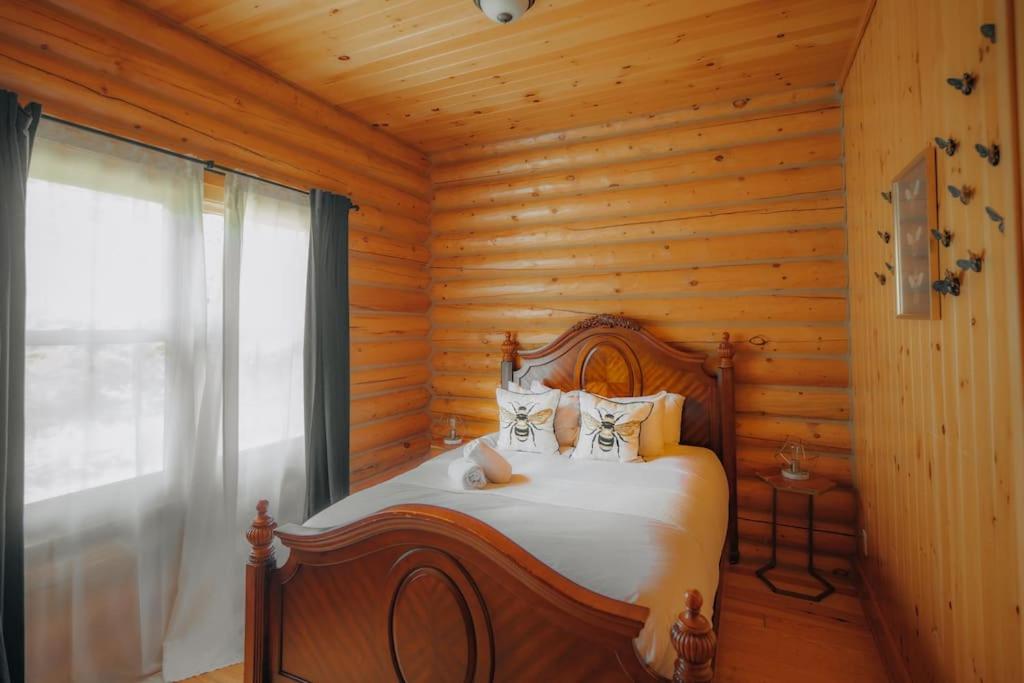 Bee Private Hot Tub Sauna Ski, Snowshoes