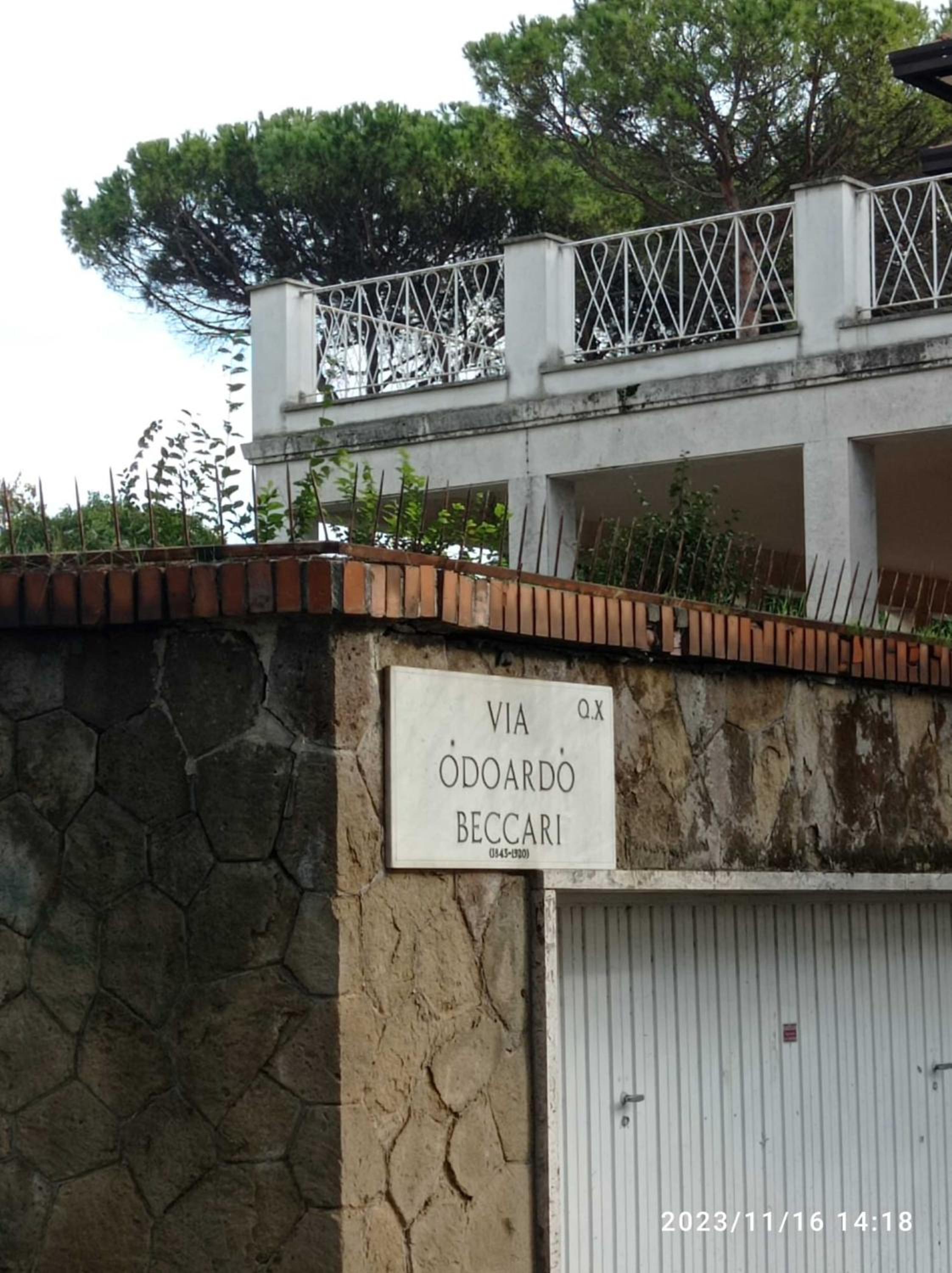 Boutique Hotel Maximus