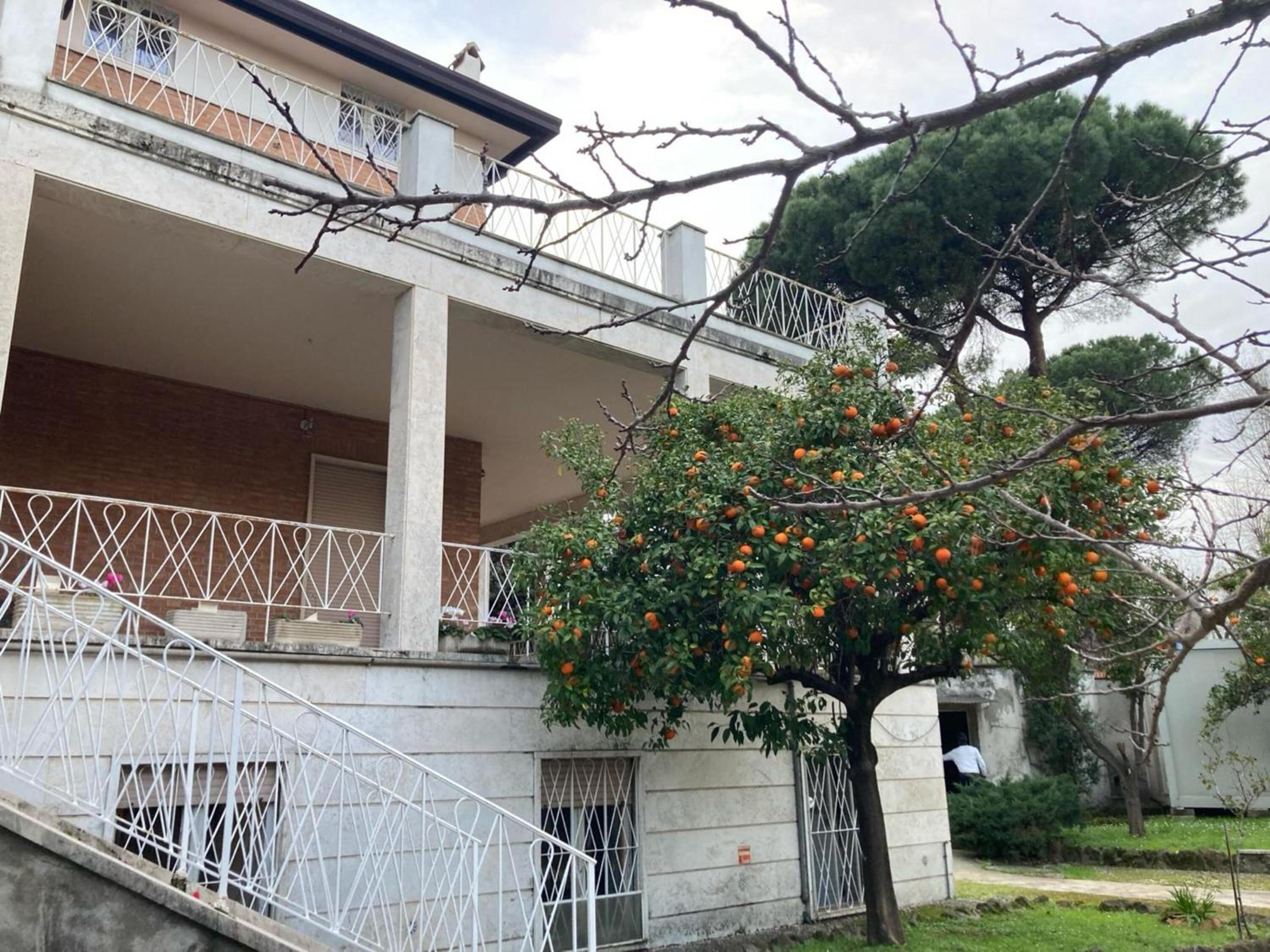 Boutique Hotel Maximus