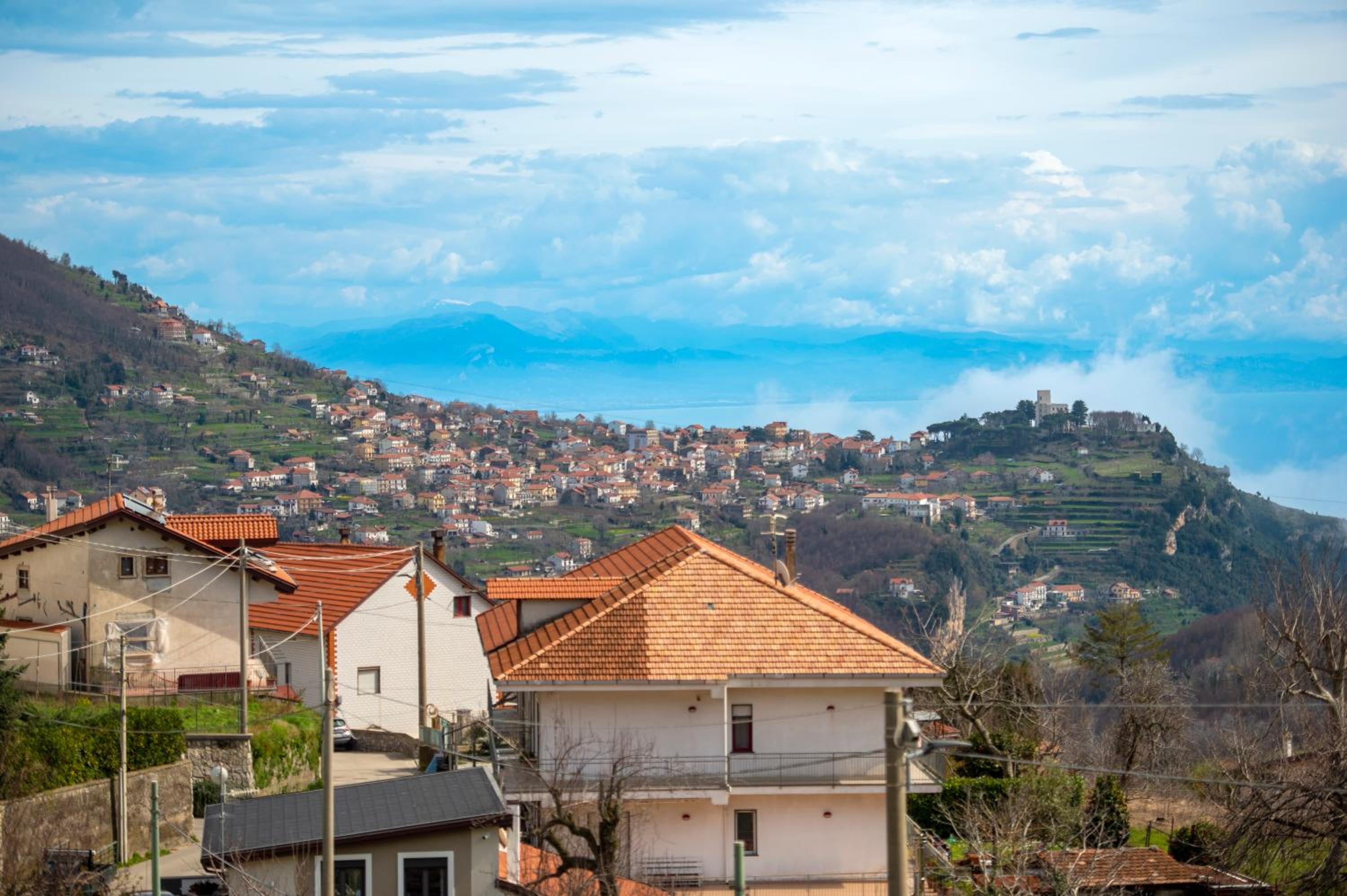 Il Vigneto di Nonno Pietro