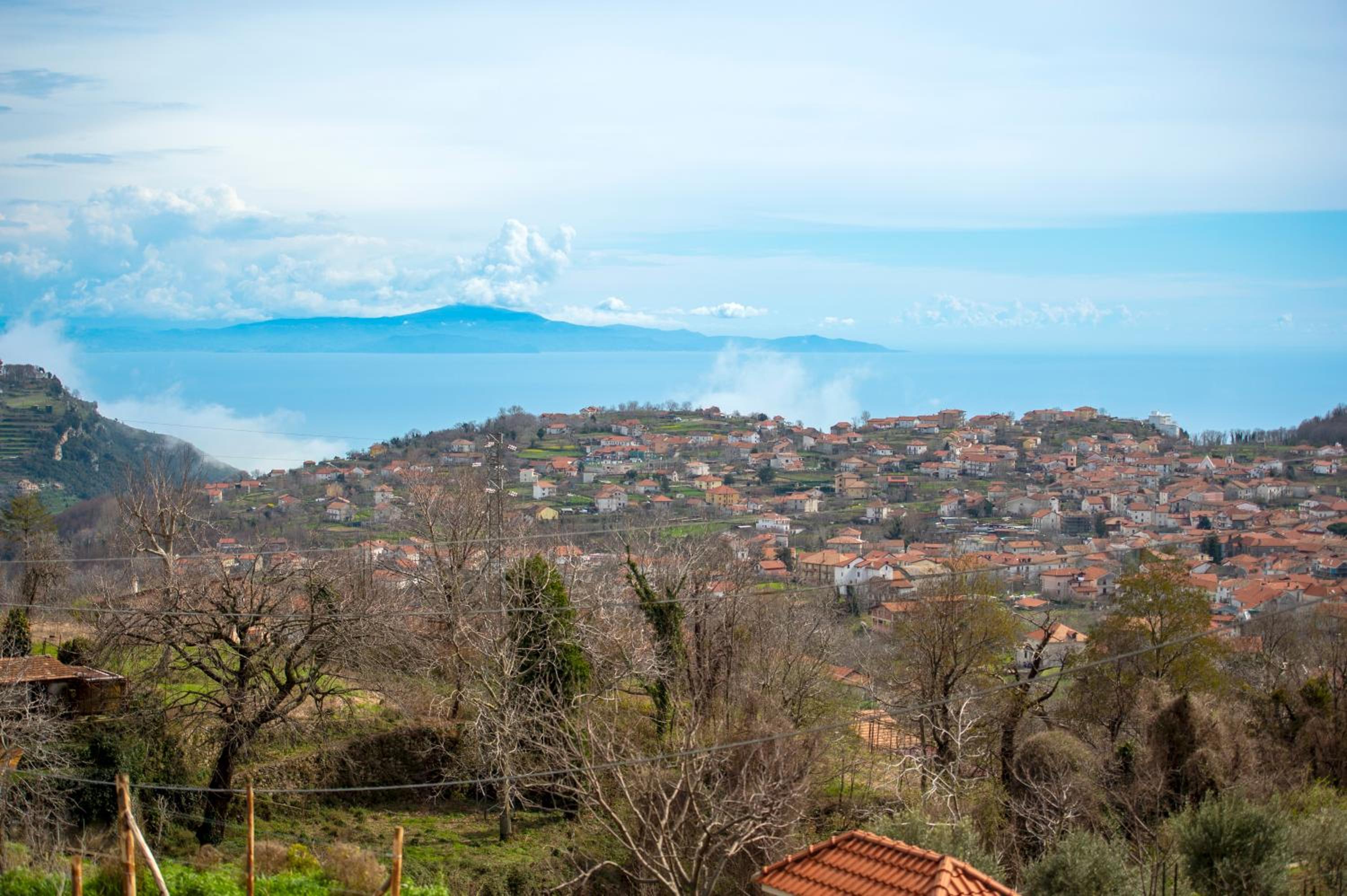Il Vigneto di Nonno Pietro