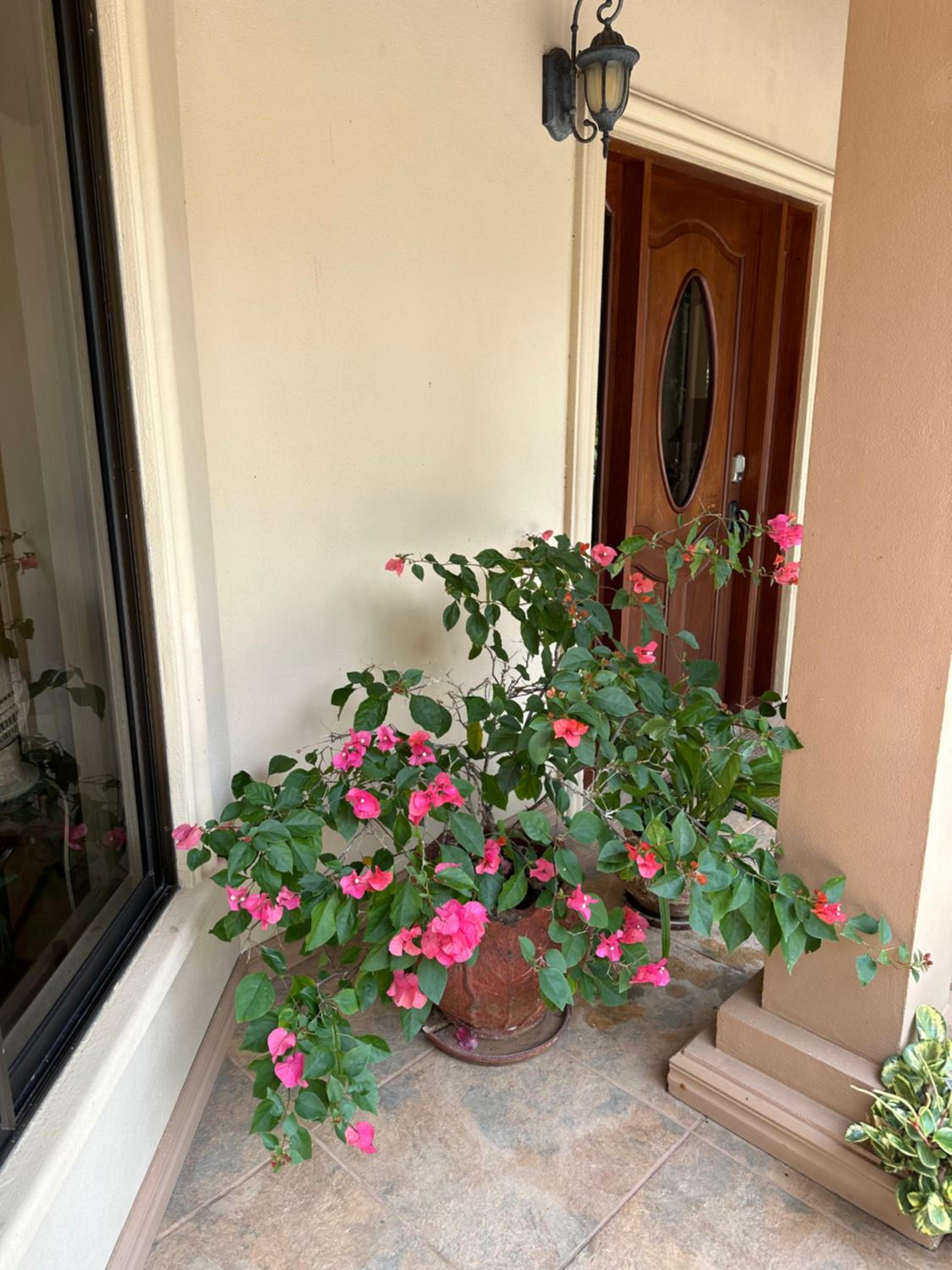 Villa Magallanes