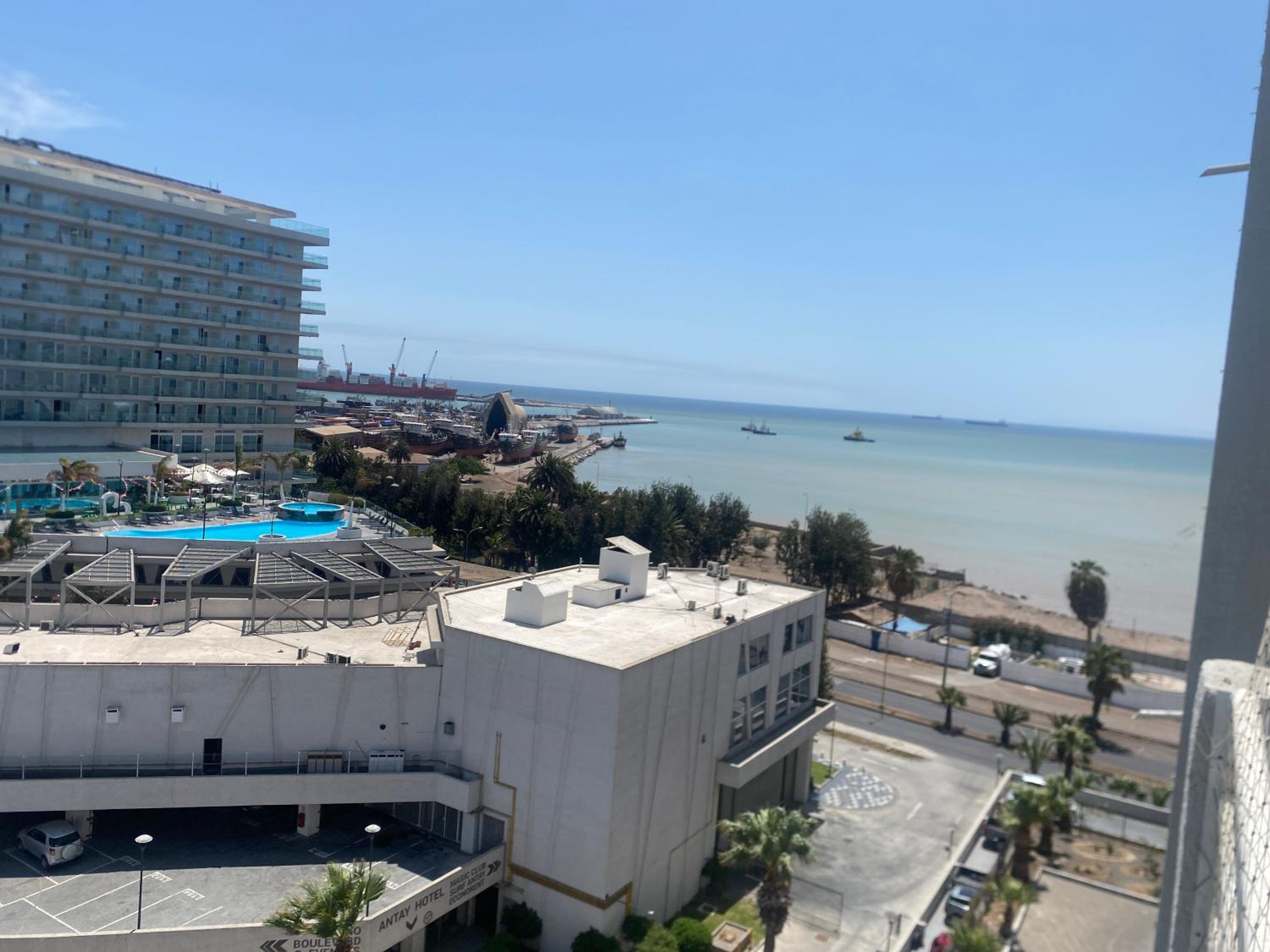 Palmarpuntoarica
