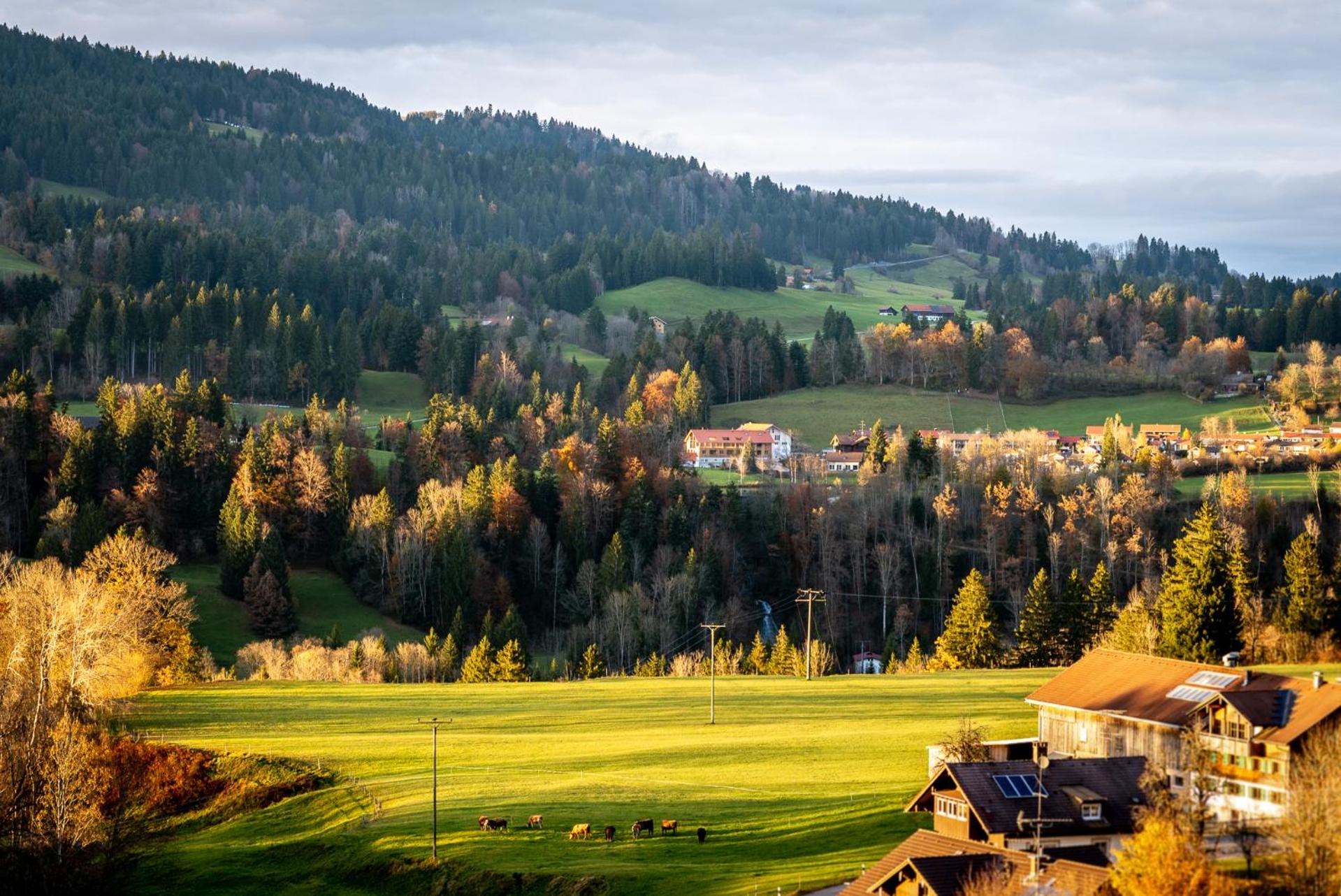 Eibele Chalets