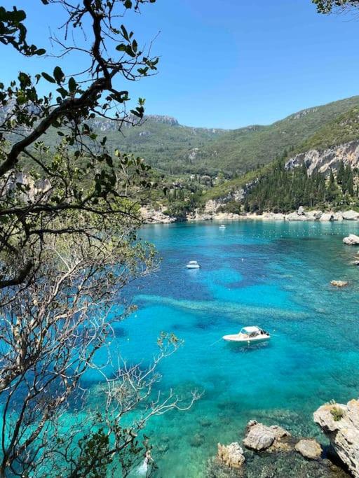 Apartment Caretta