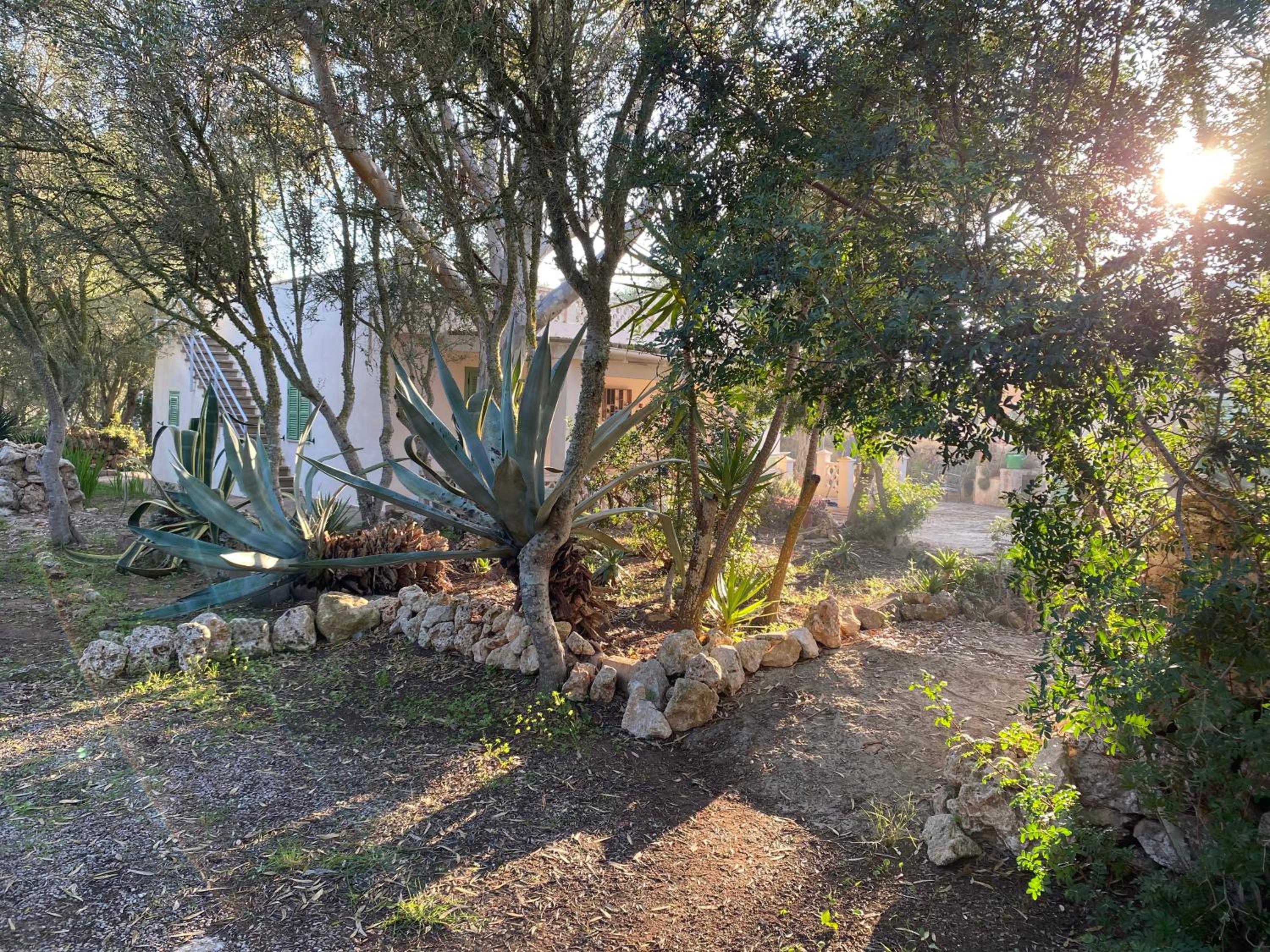 Finca Casa Farah