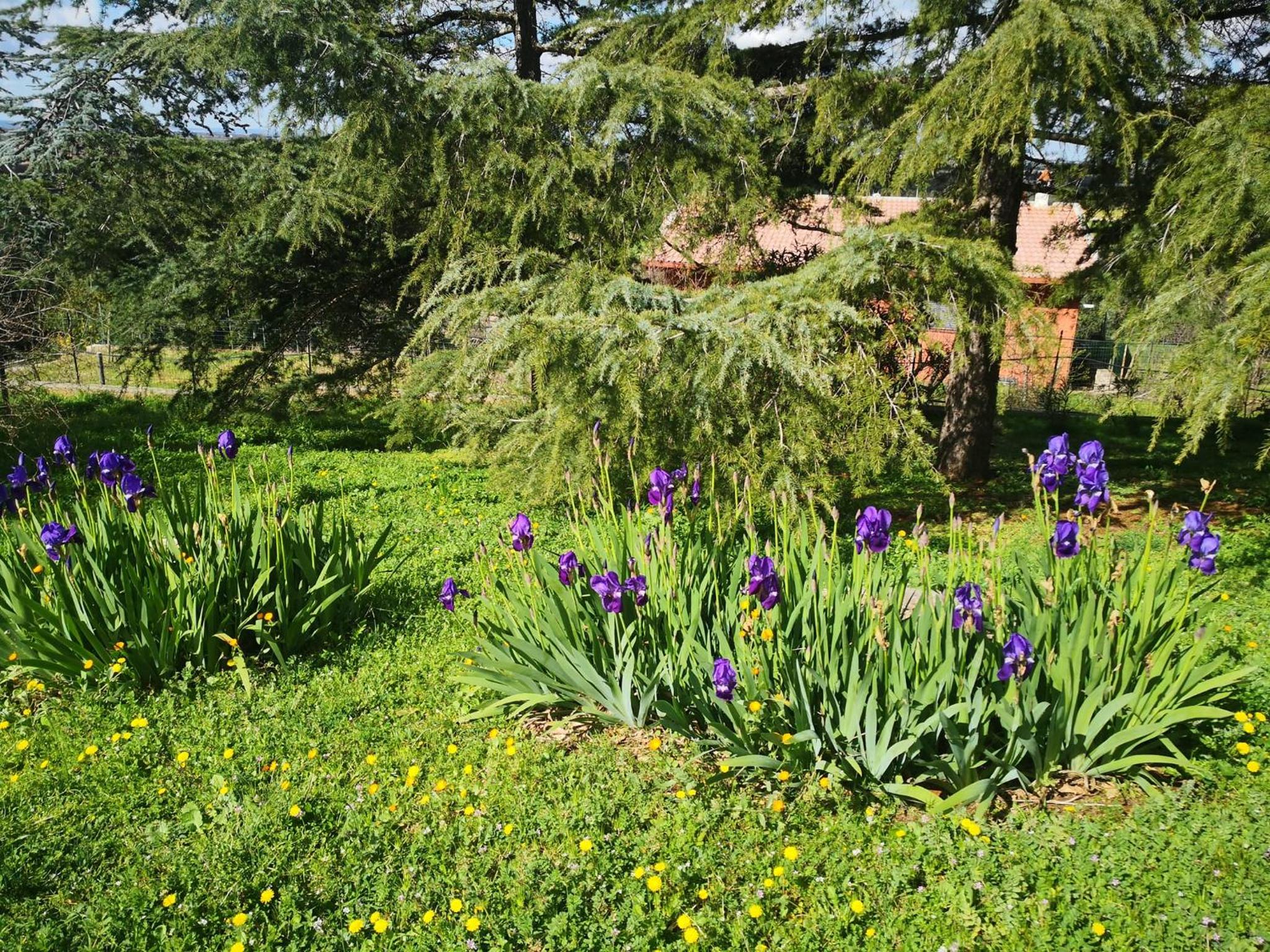 Photo 91