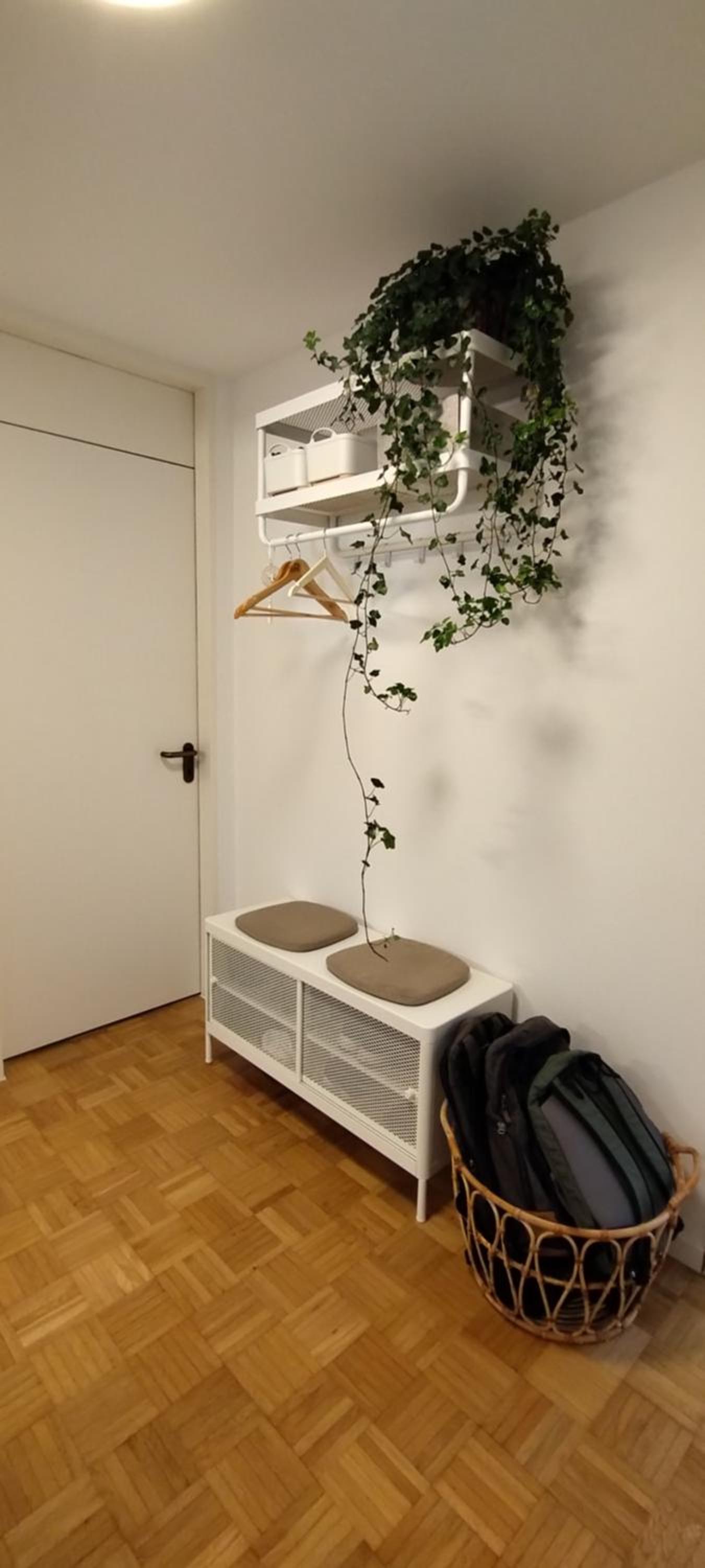 Stuttgart Vacations - SHARED Cozy place in Stuttgart's heart! - Property Image 2