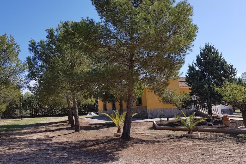 Casa Rosi