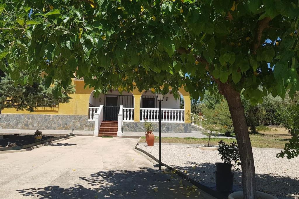 Casa Rosi