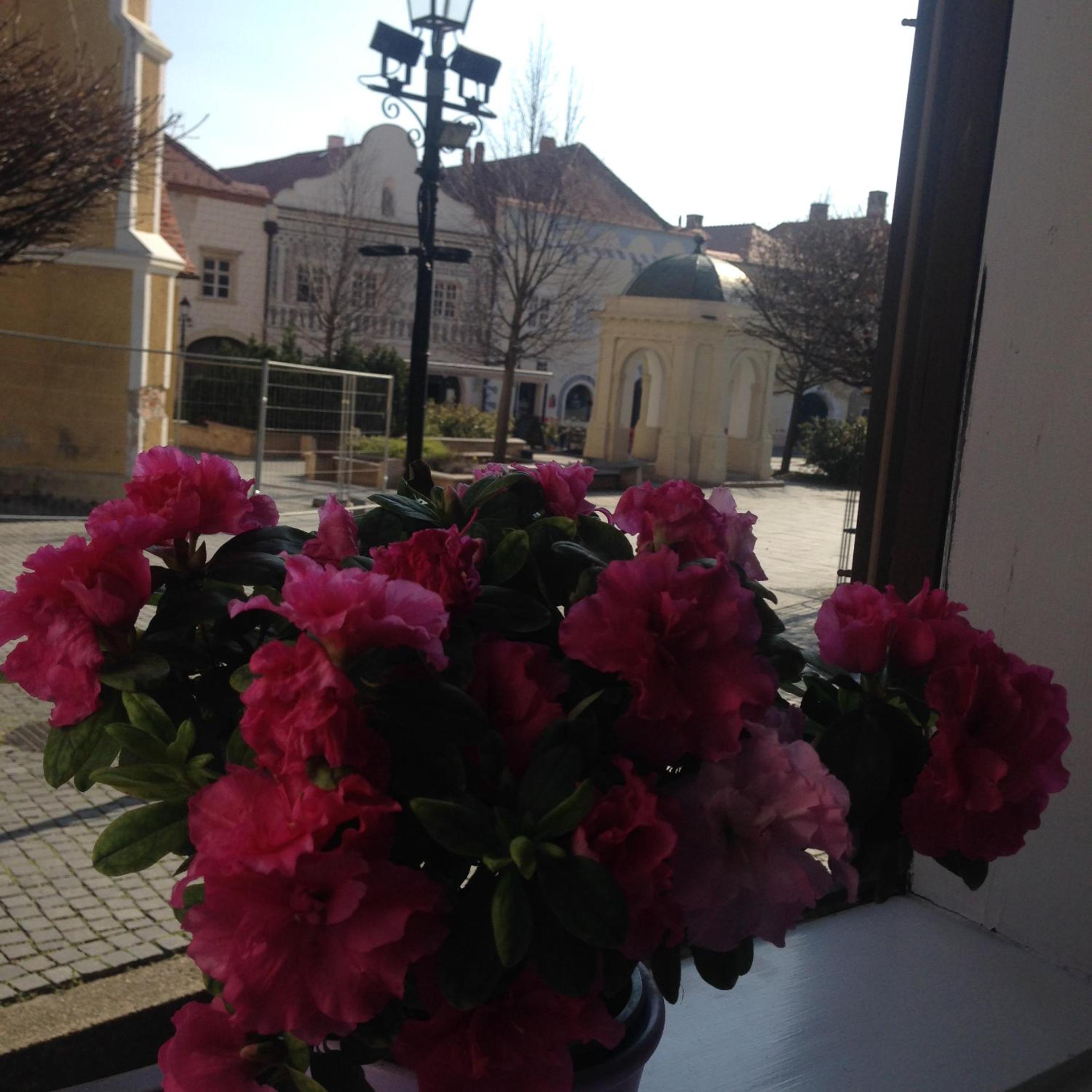 Katalin apartman