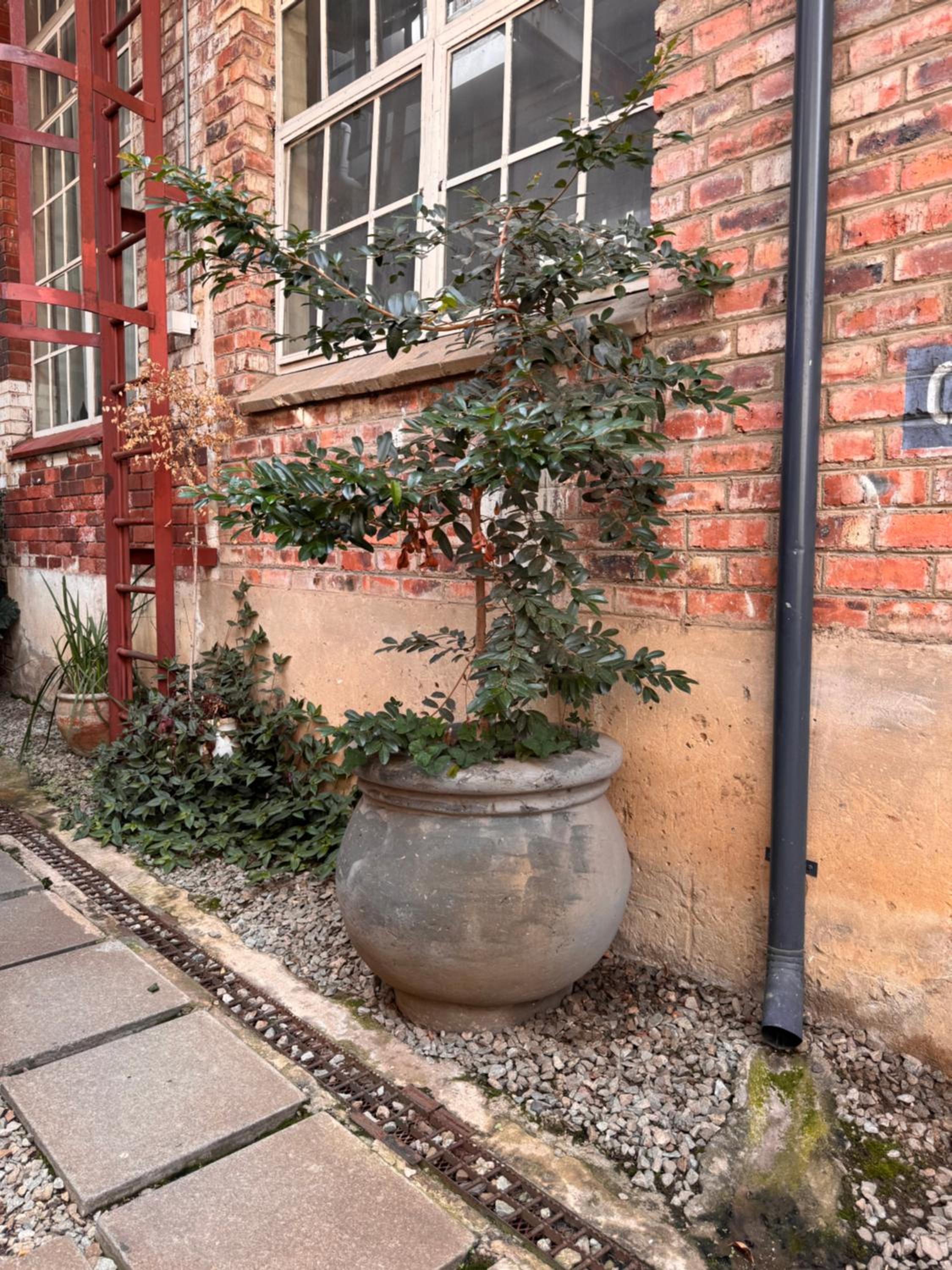 2 bedrooms, 2 bathrooms apartment in Maboneng with Unlimited WiFi