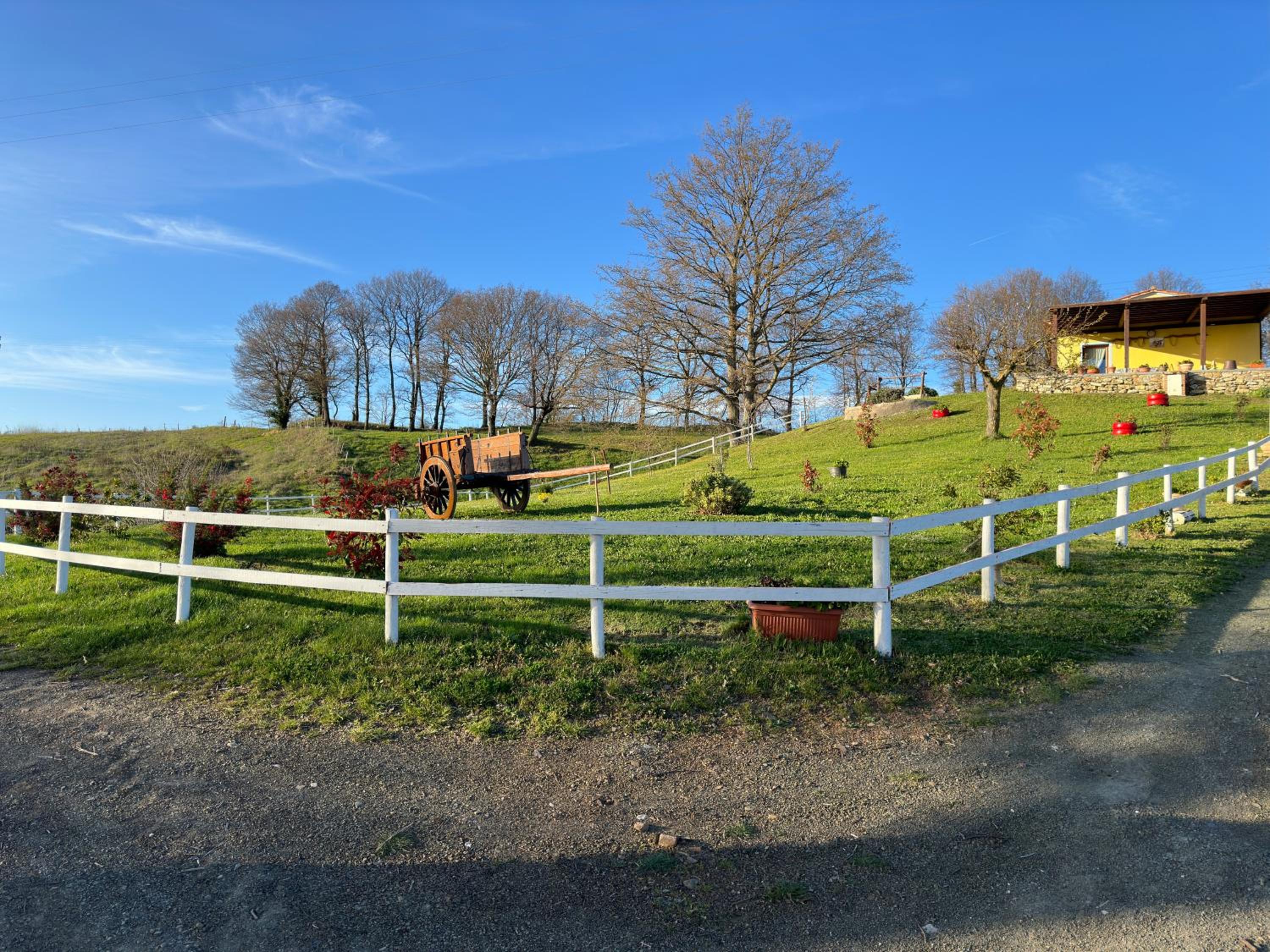 Villa Matilde view 3