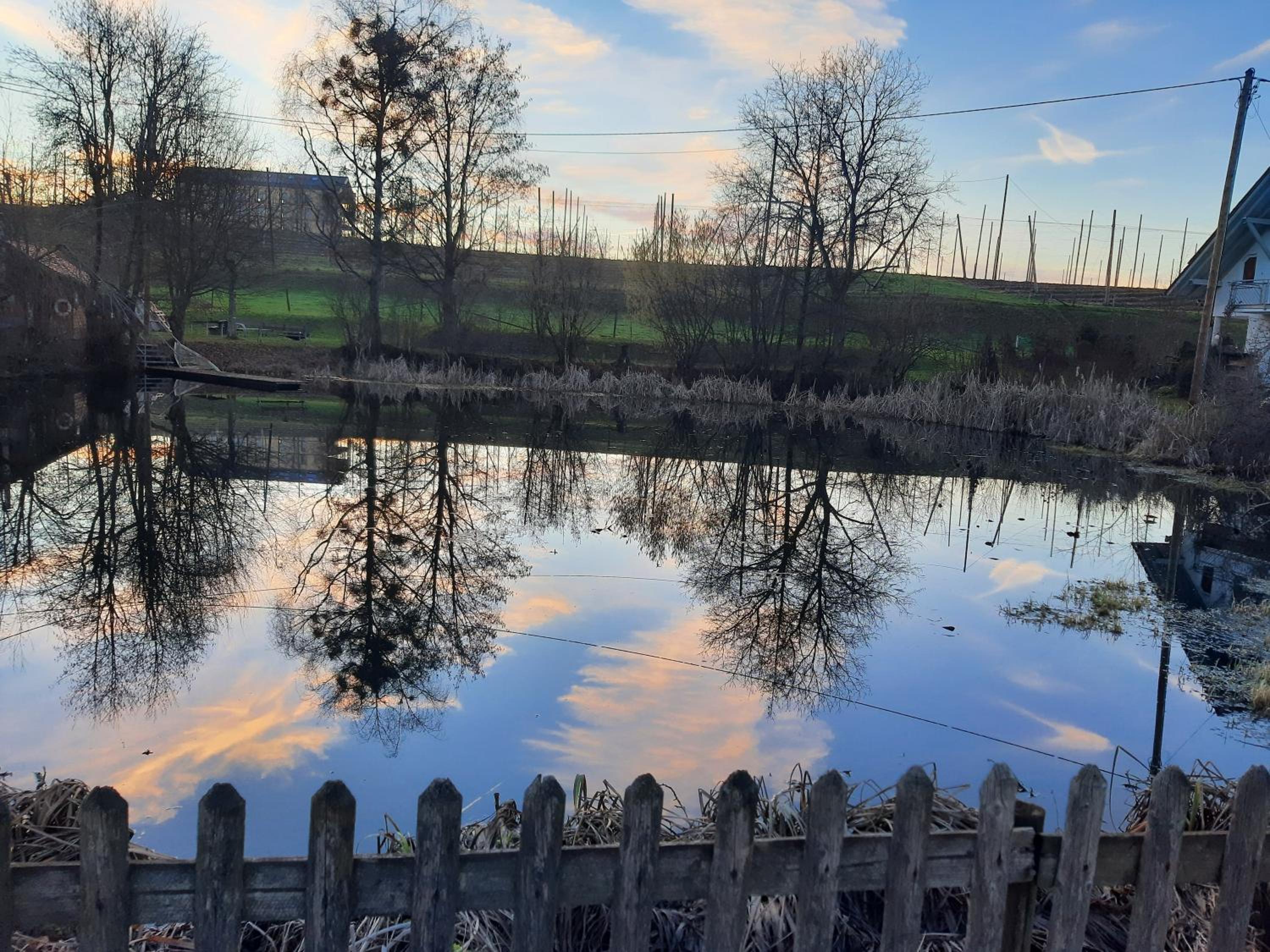 Am Dorfweiher