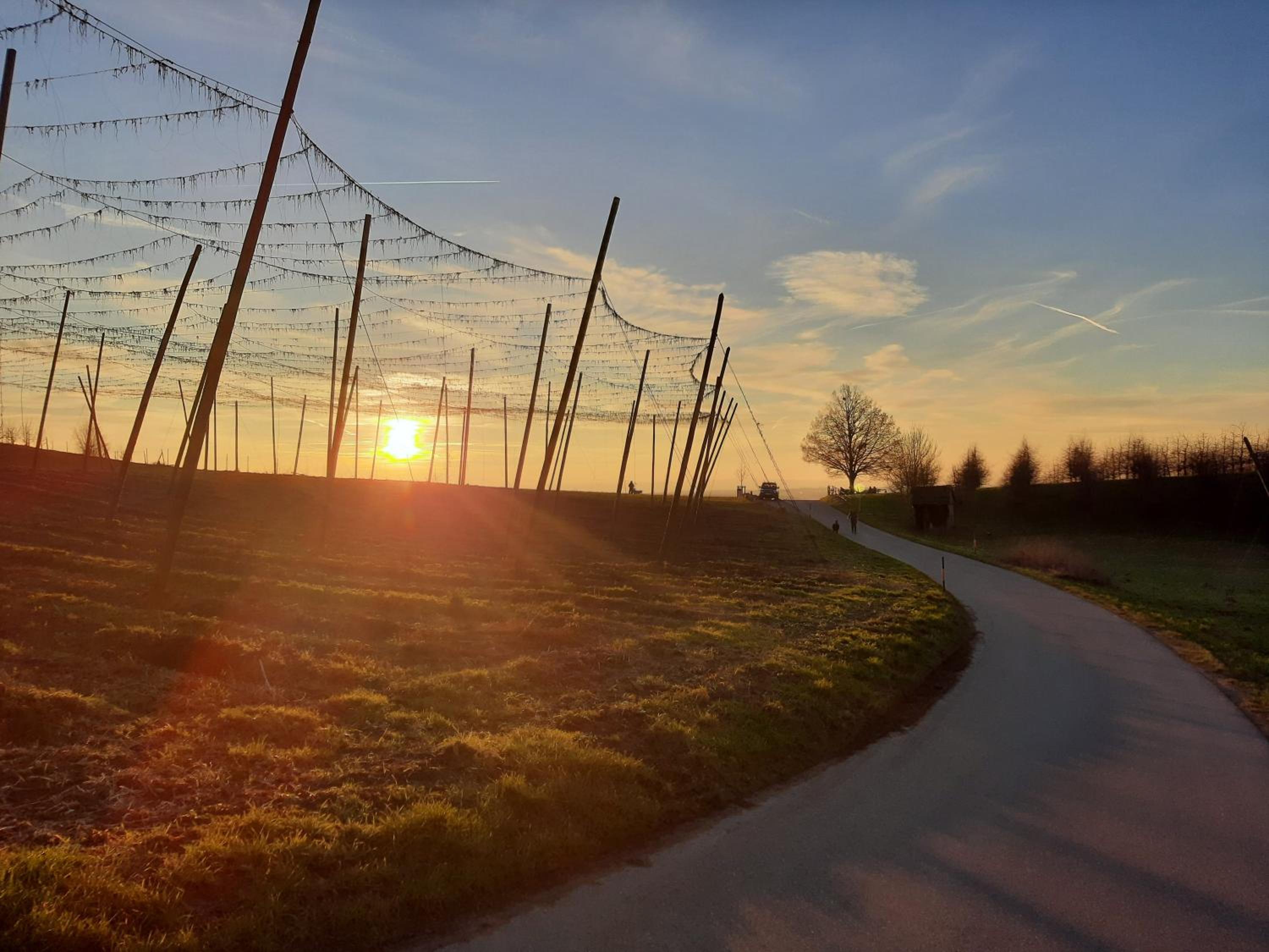 Am Dorfweiher