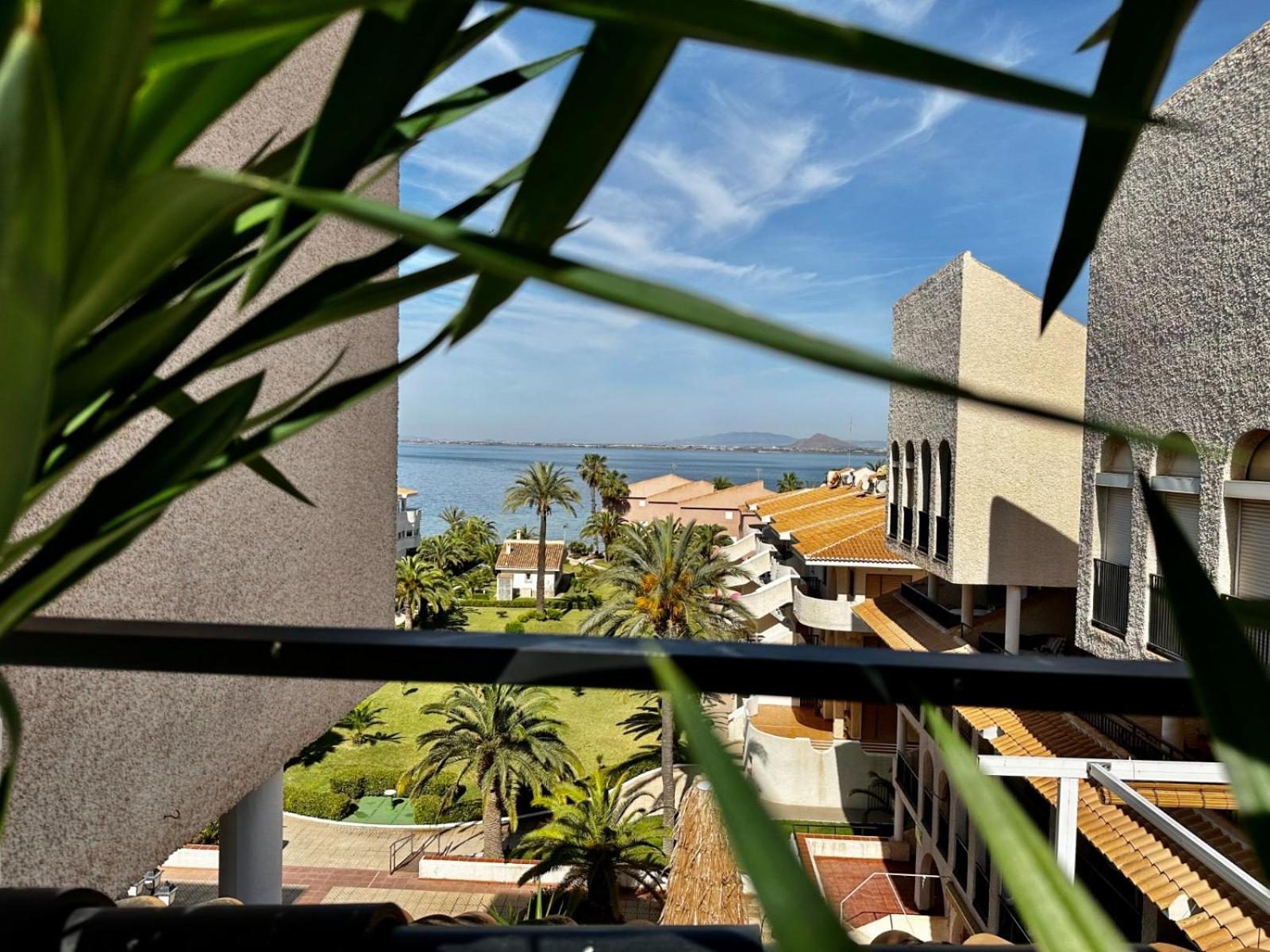 Apartment Azalia