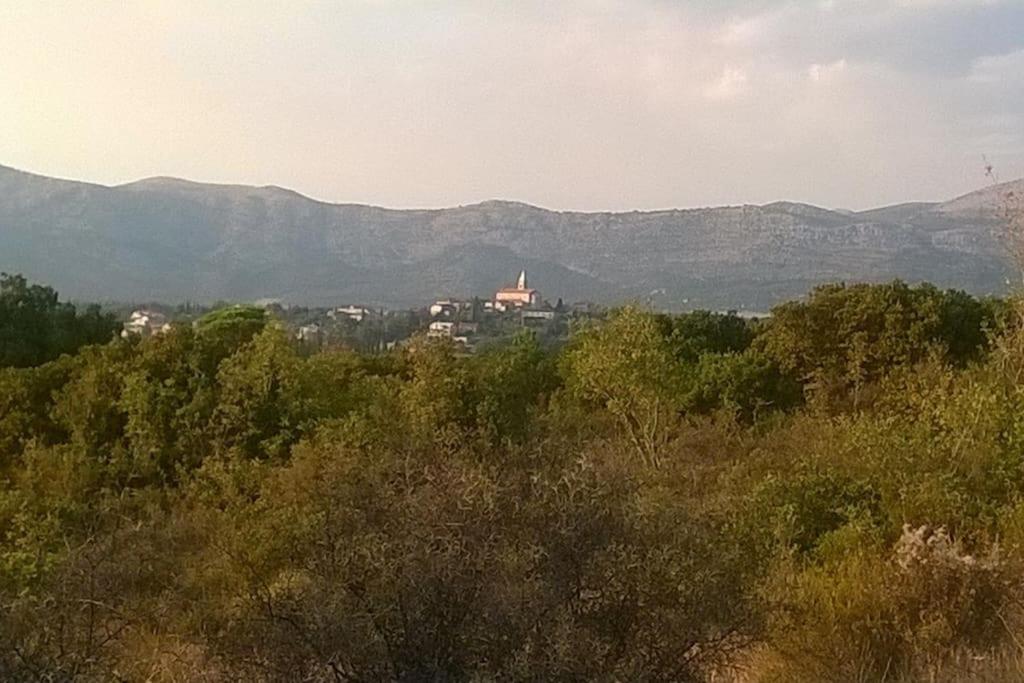 Petra's House