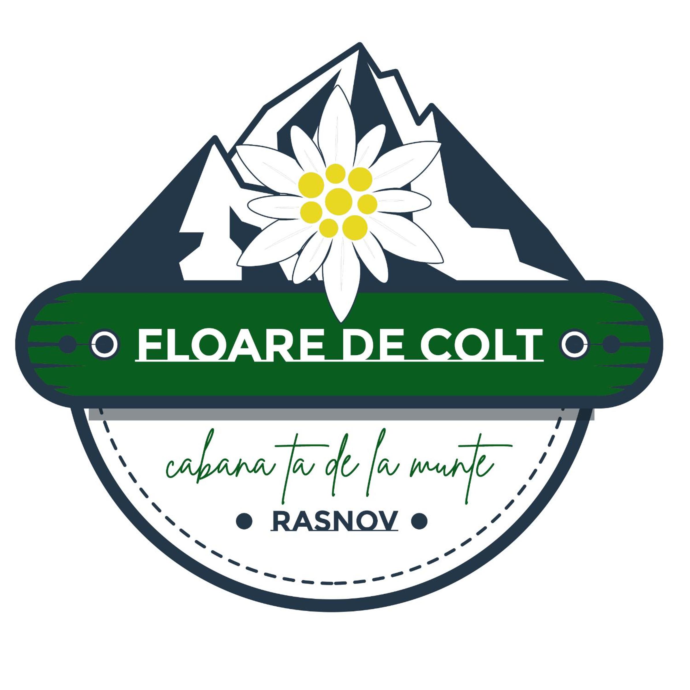 FLOARE DE COLT view 2