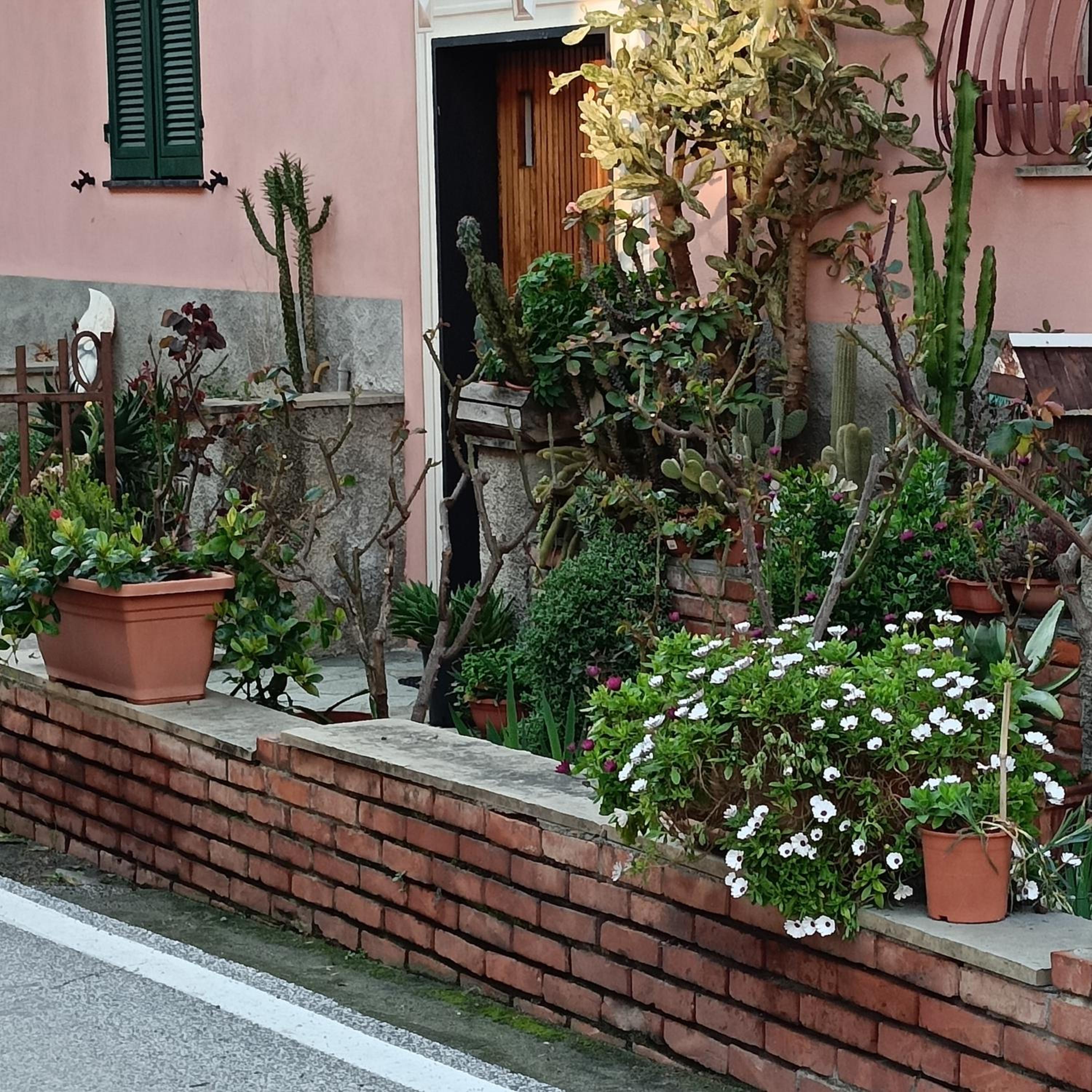 Photo 41