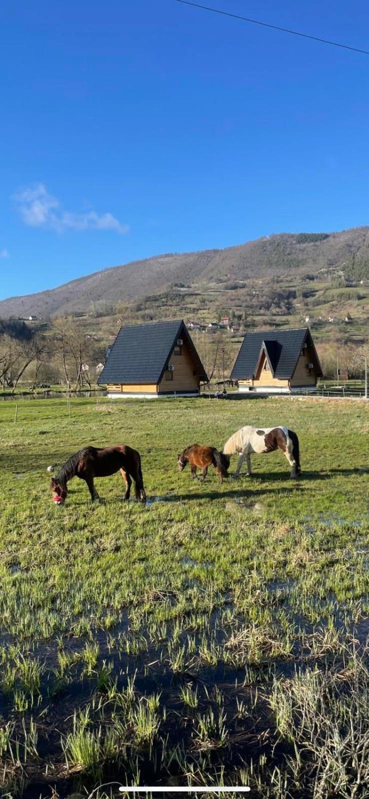 Bungalow Jajce 2