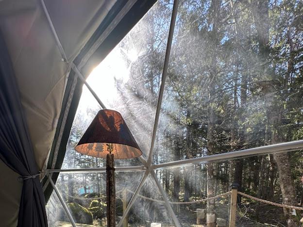 Dome in the Woods