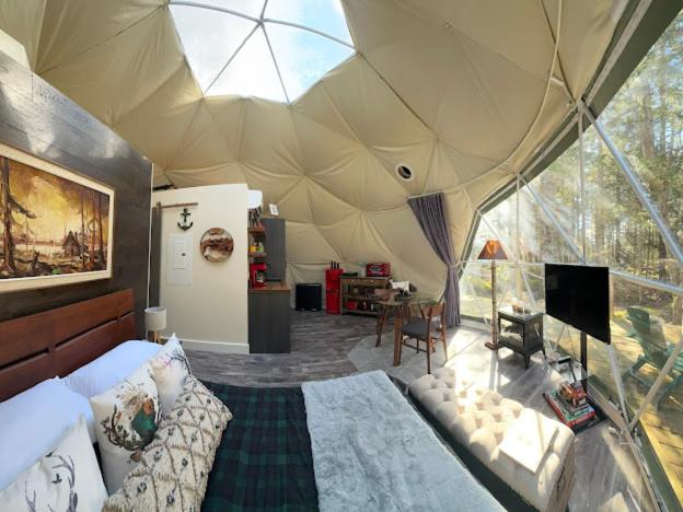 Dome in the Woods