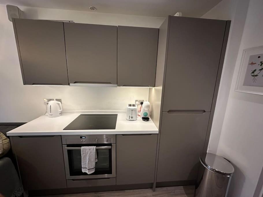 Modern Flat in Camden Town