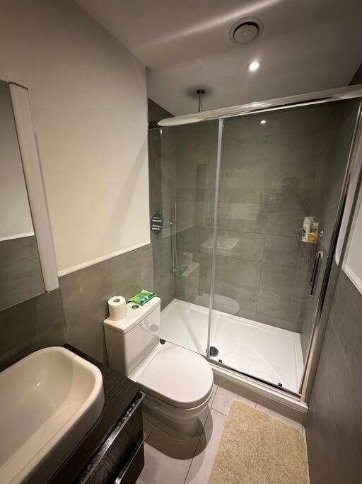 Modern Flat in Camden Town