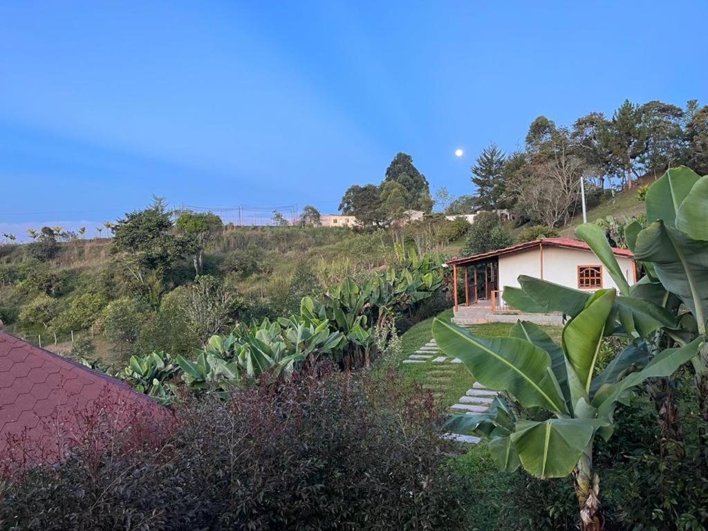 Villas Julieta