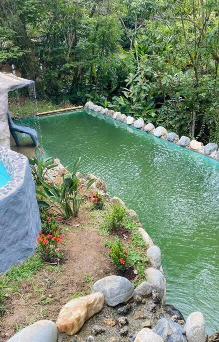 El Edén; Un paraíso irresistible.