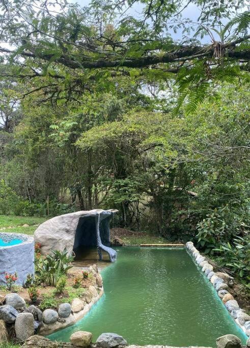 El Edén; Un paraíso irresistible.
