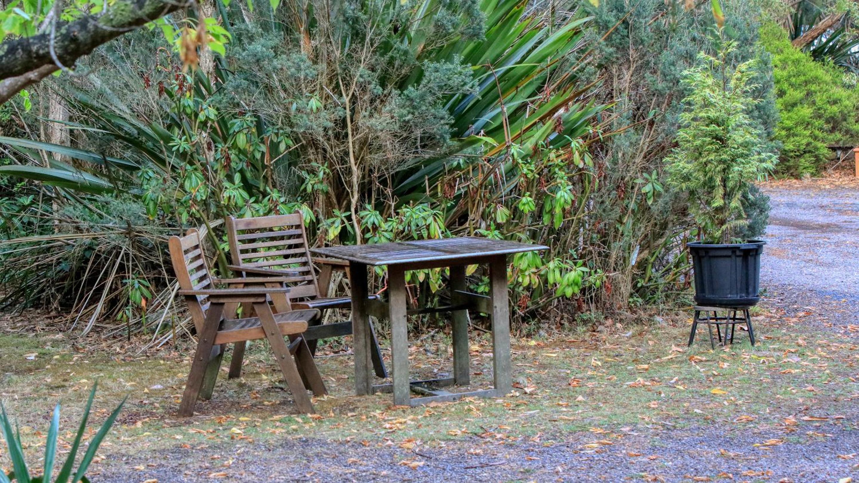 Crayfish Creek Van & Cabin Park