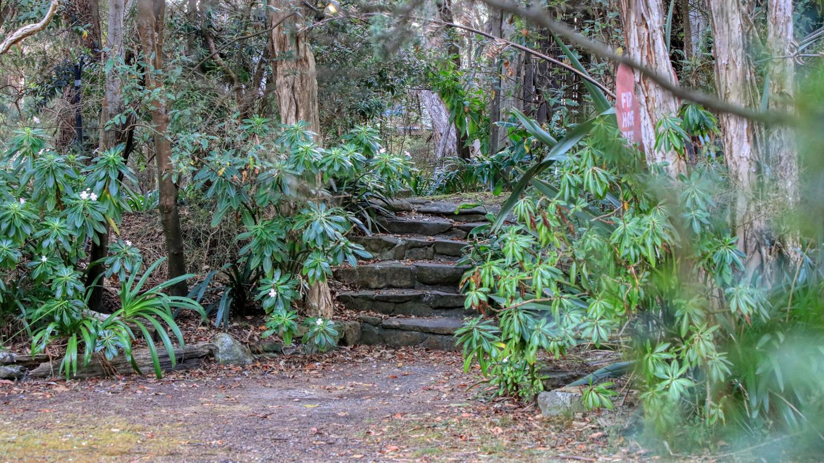 Crayfish Creek Van & Cabin Park