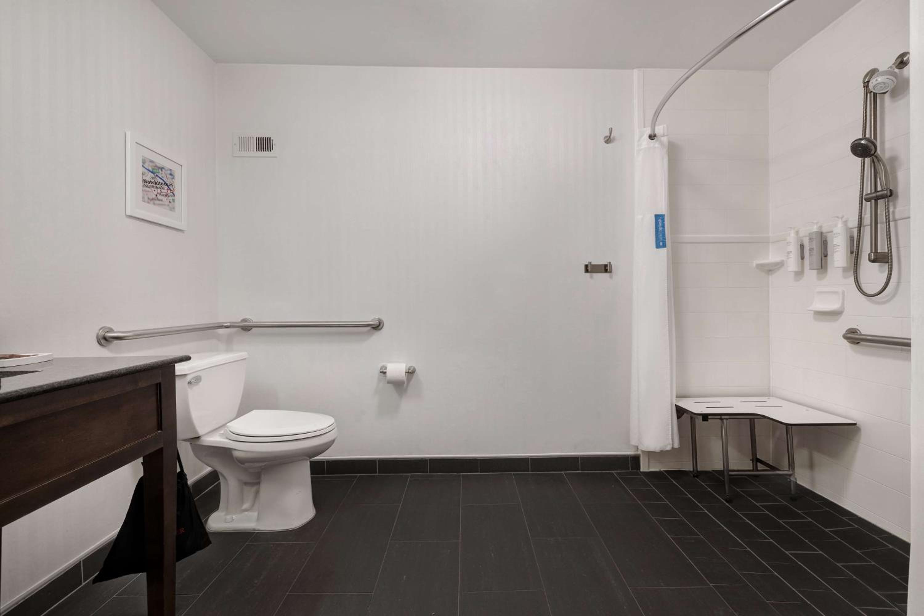 Hampton Inn Natchitoches - Property Image 1