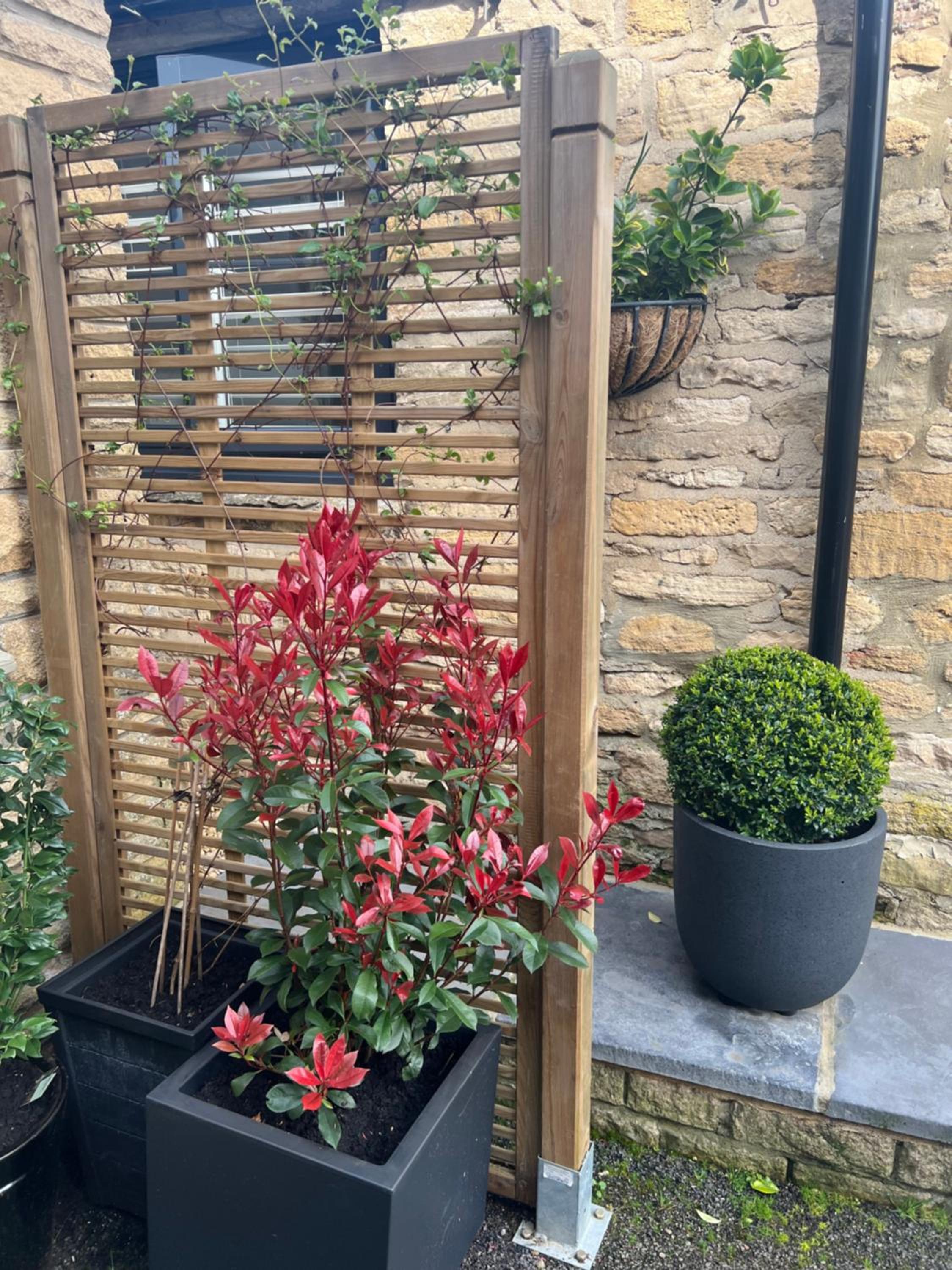 Priory Tearooms Burford with Rooms