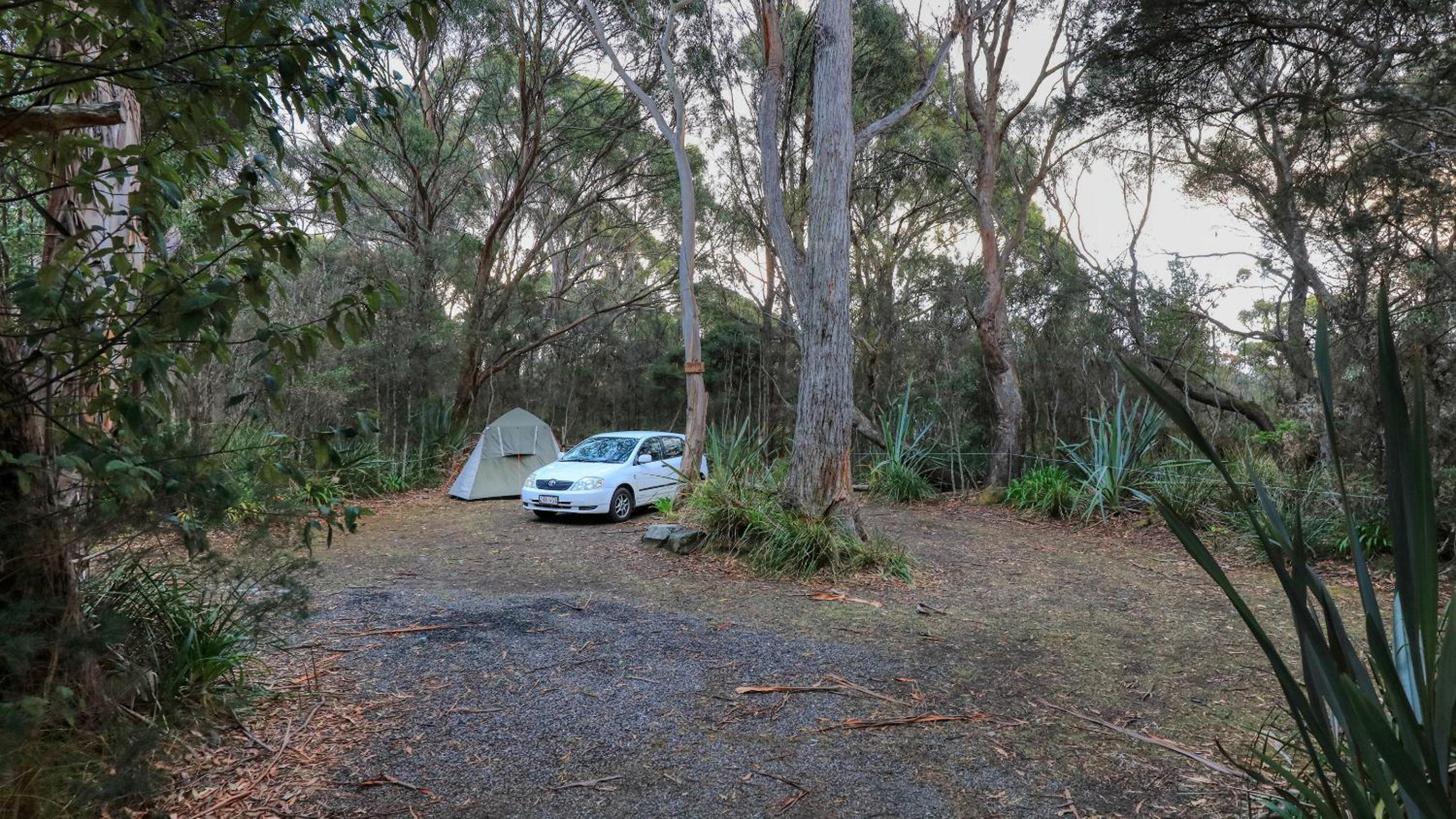 Crayfish Creek Van & Cabin Park