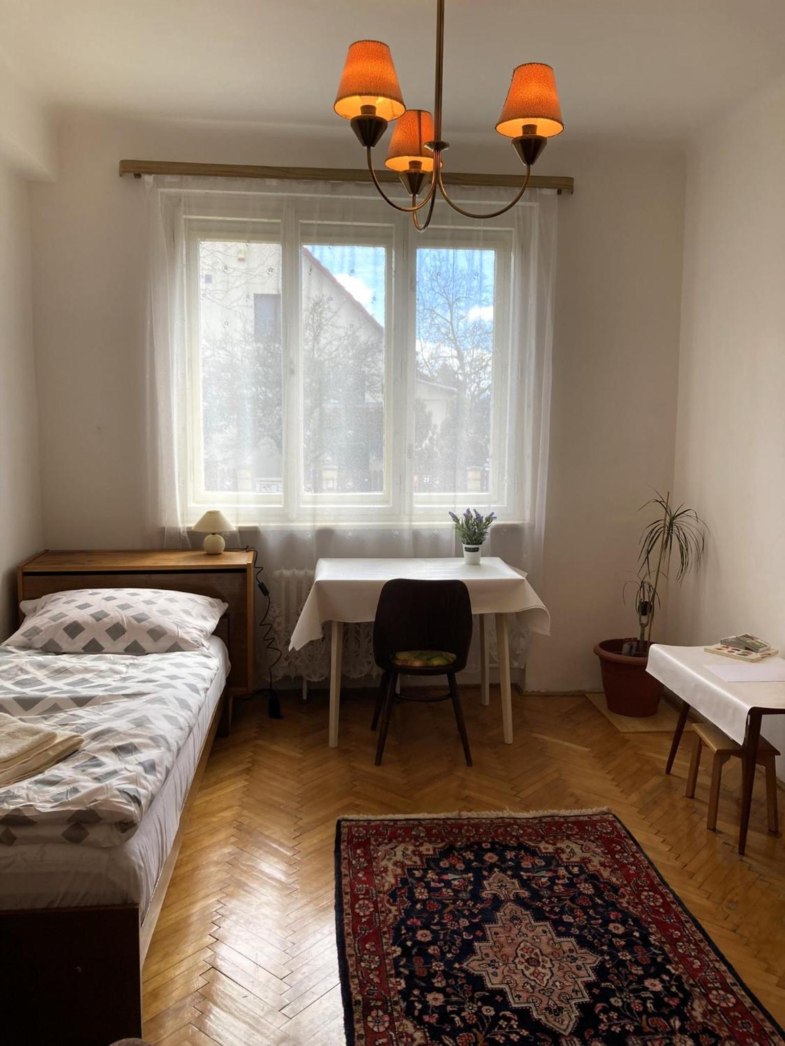 Spacious apartment - free parking!