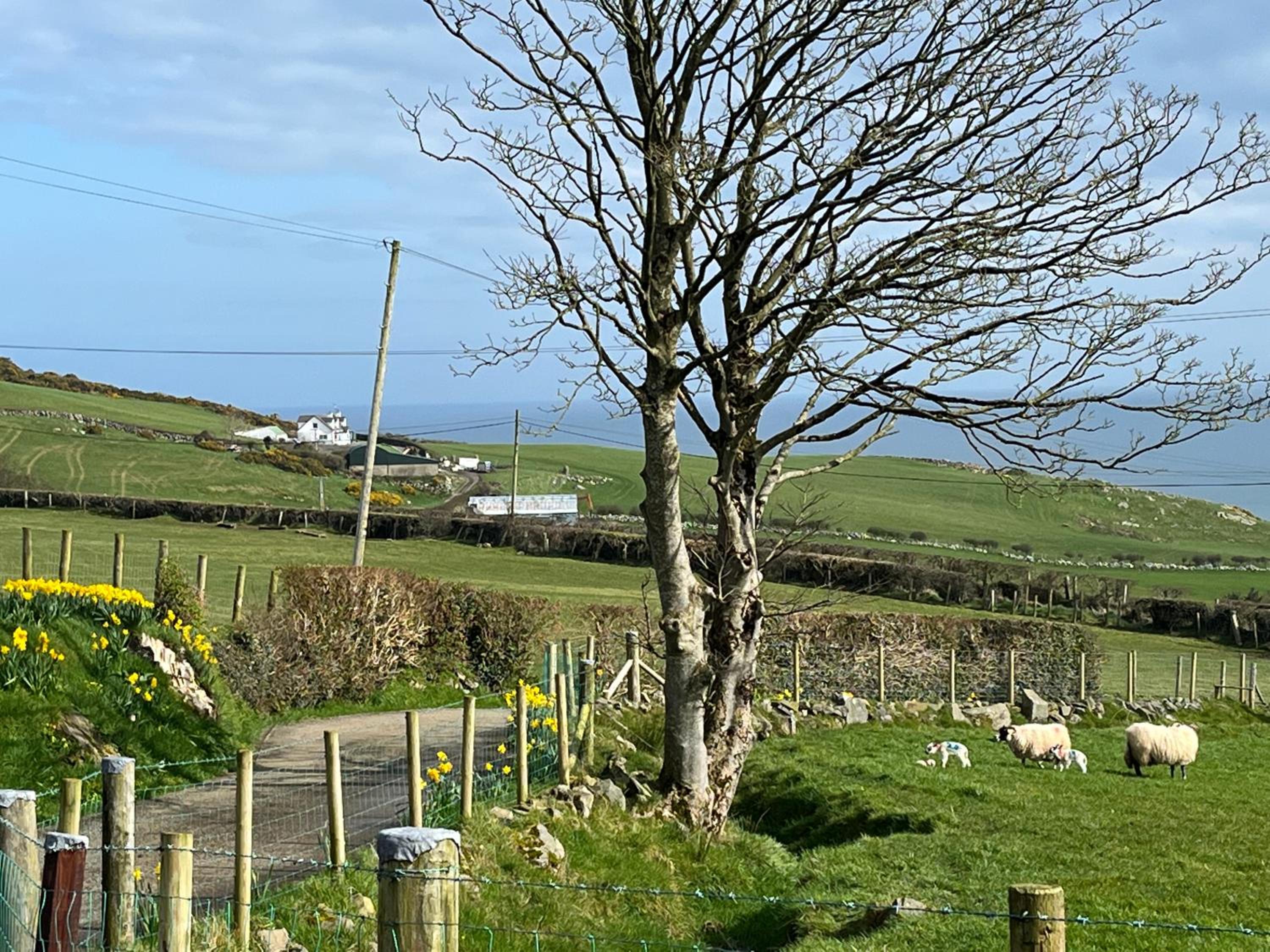 Sea View Farmhouse view 3