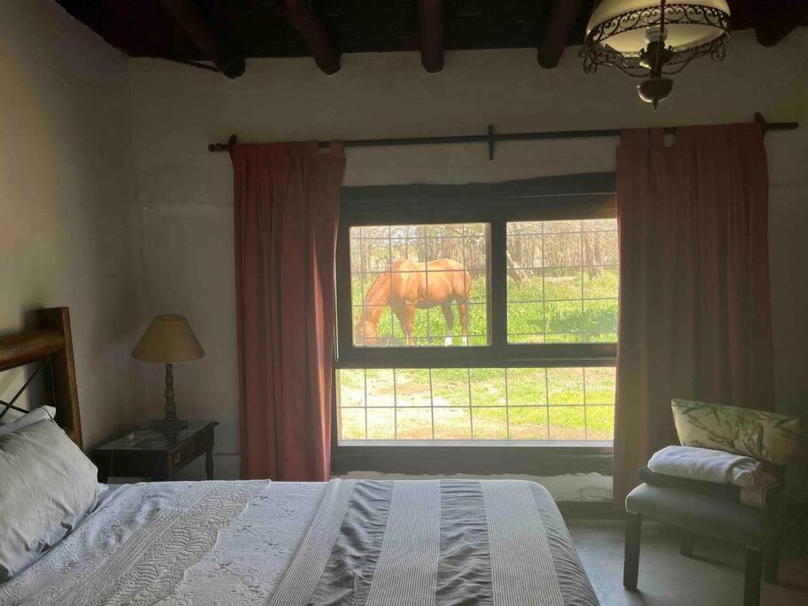 Posada La Escondida