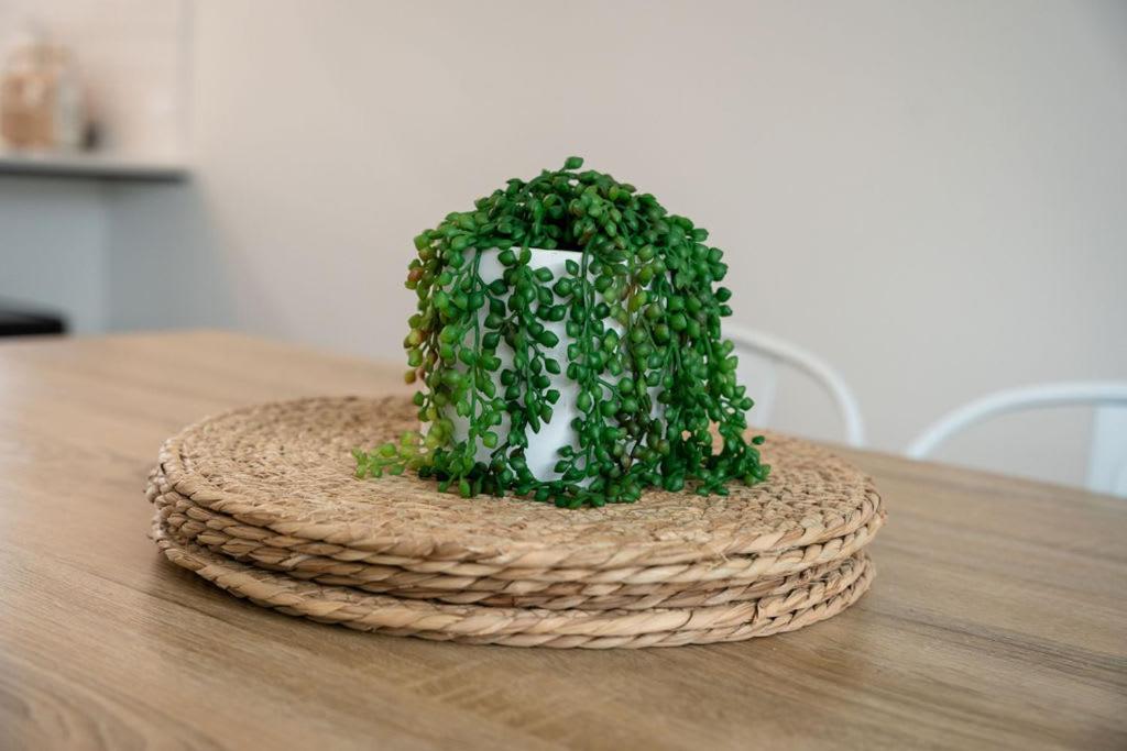 Apostle Escape