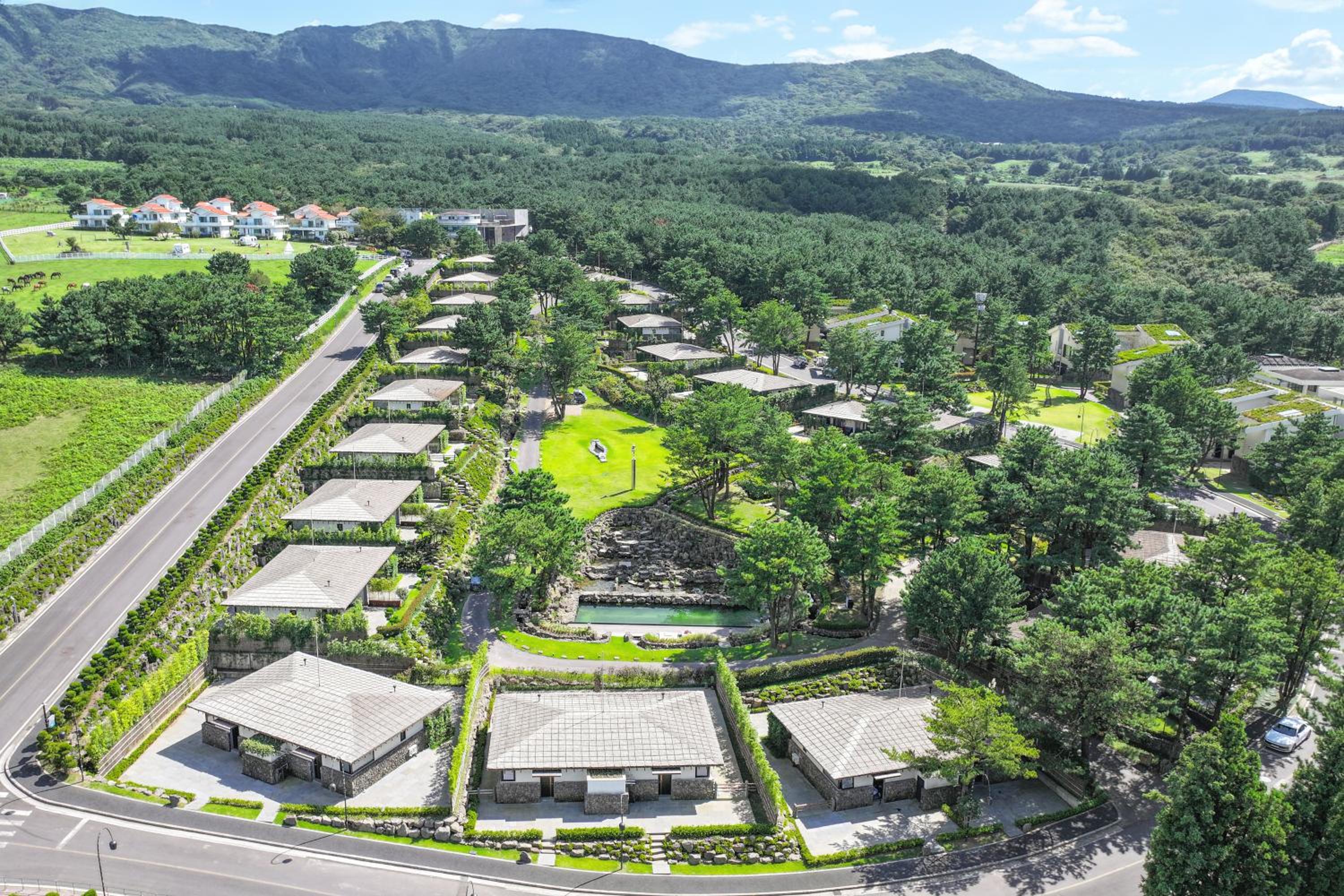 Jeju Vacations - Amber Pure Hill Hotels  Resorts Jeju - Property Image 1
