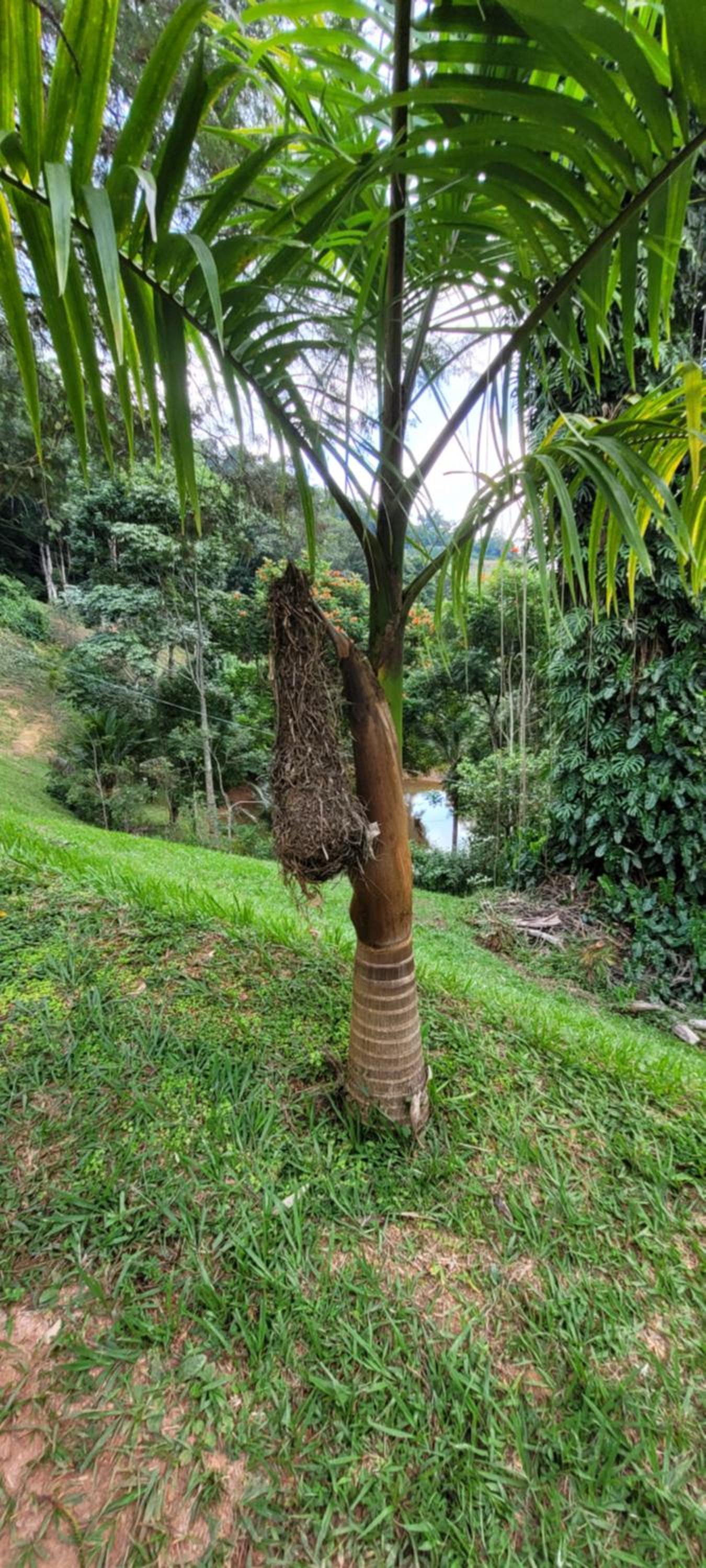 Chalé Vale dos Lagos