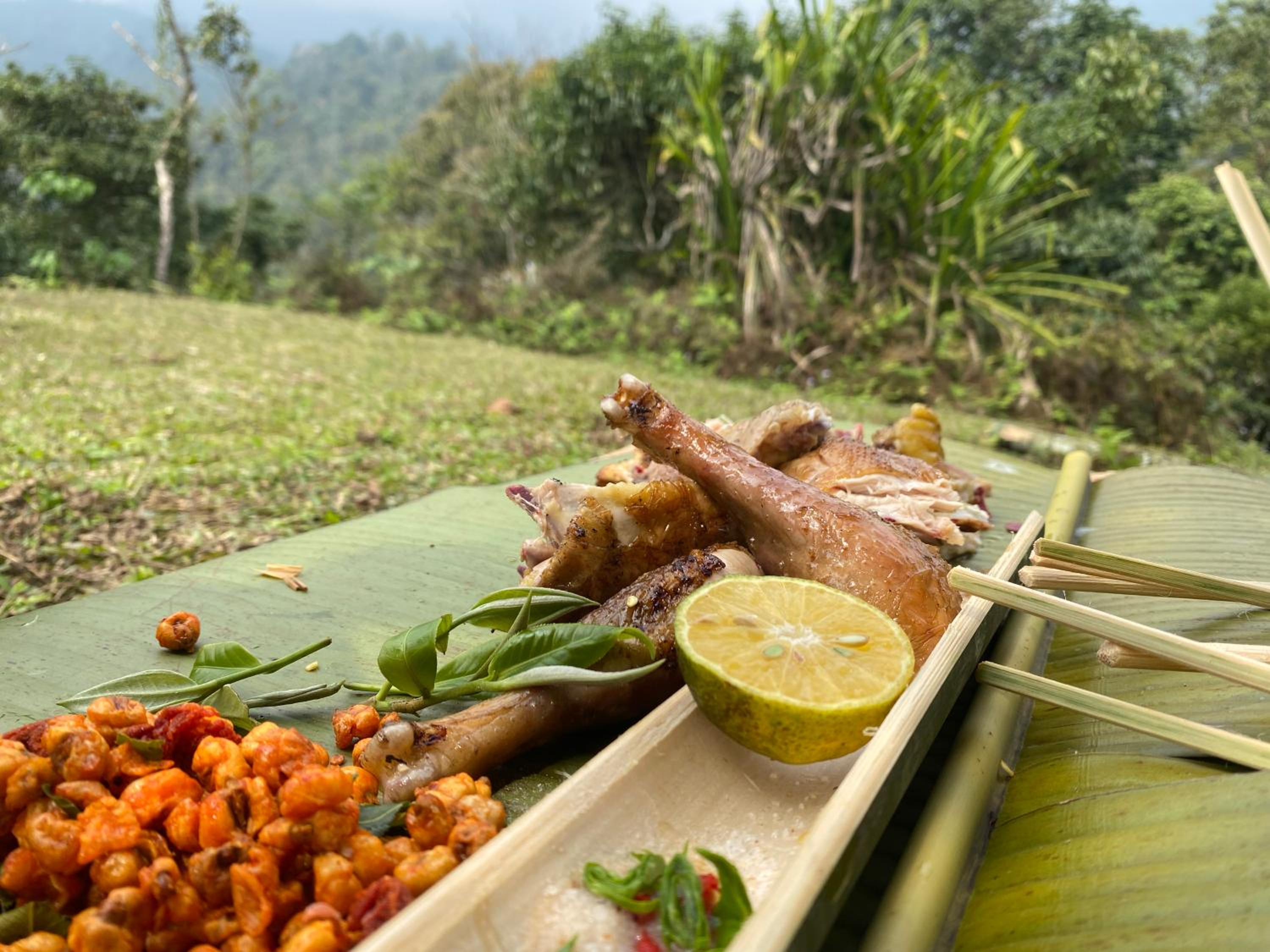Bikki's jungle homestay
