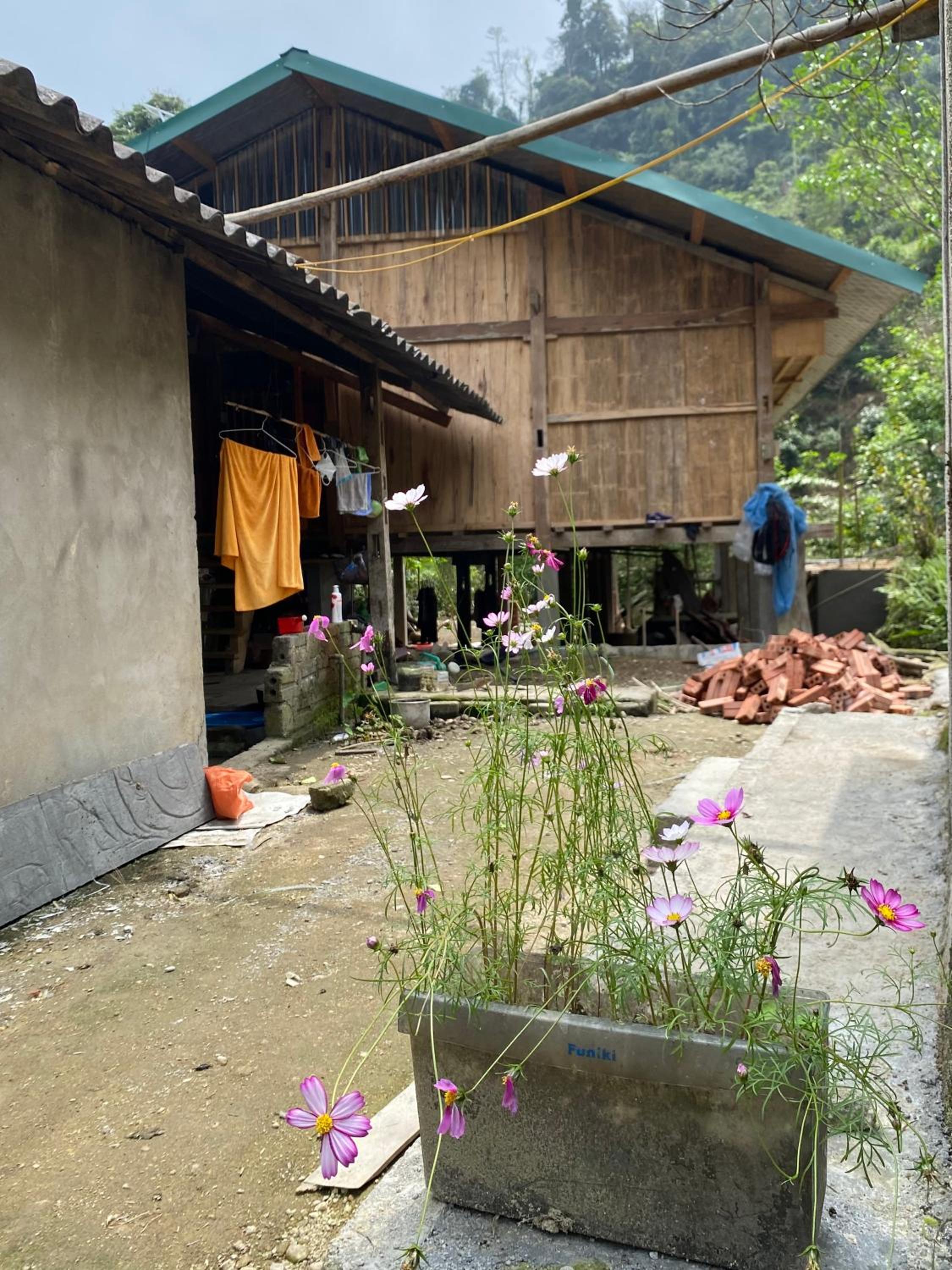 Bikki's jungle homestay
