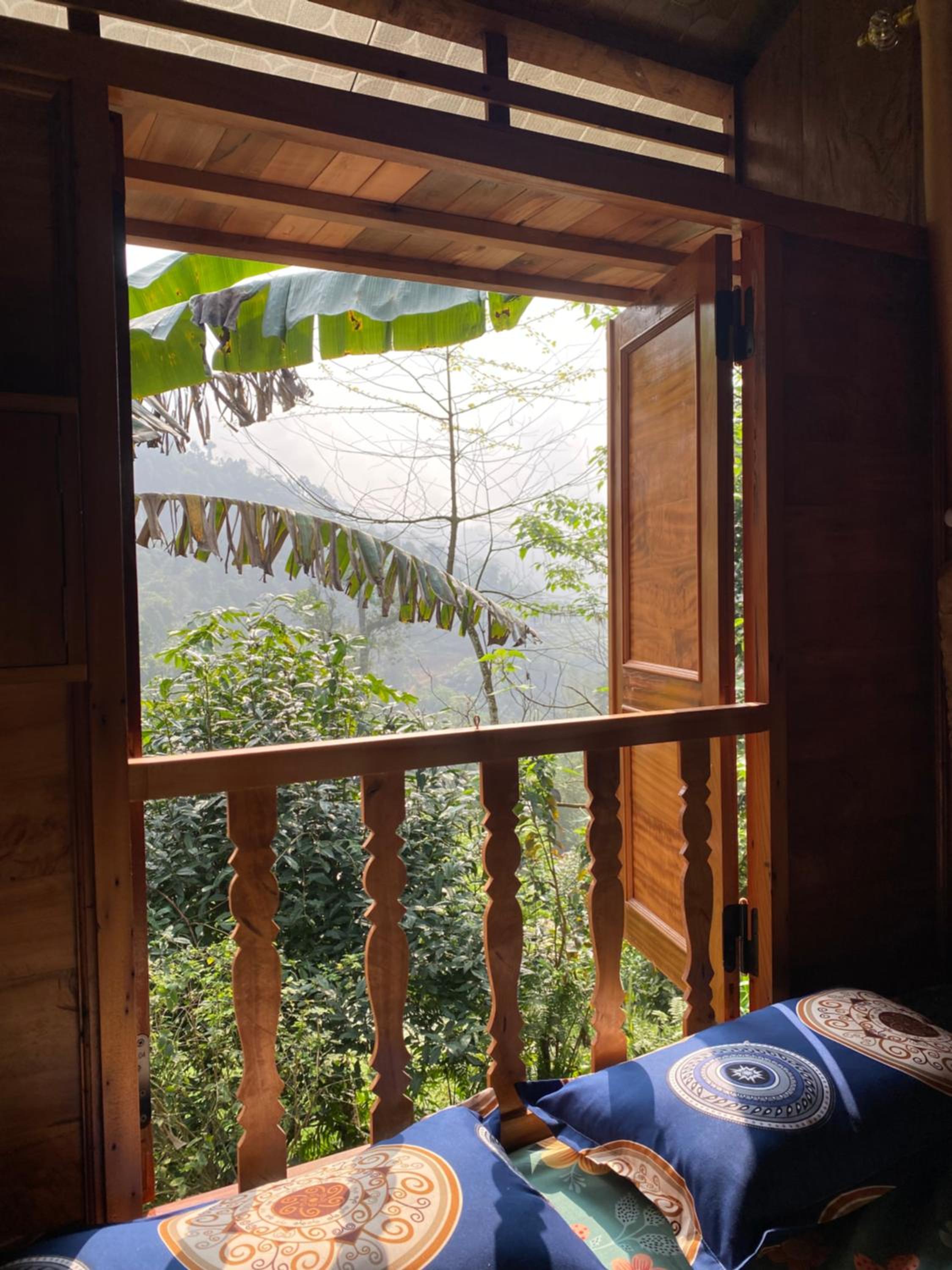 Bikki's jungle homestay