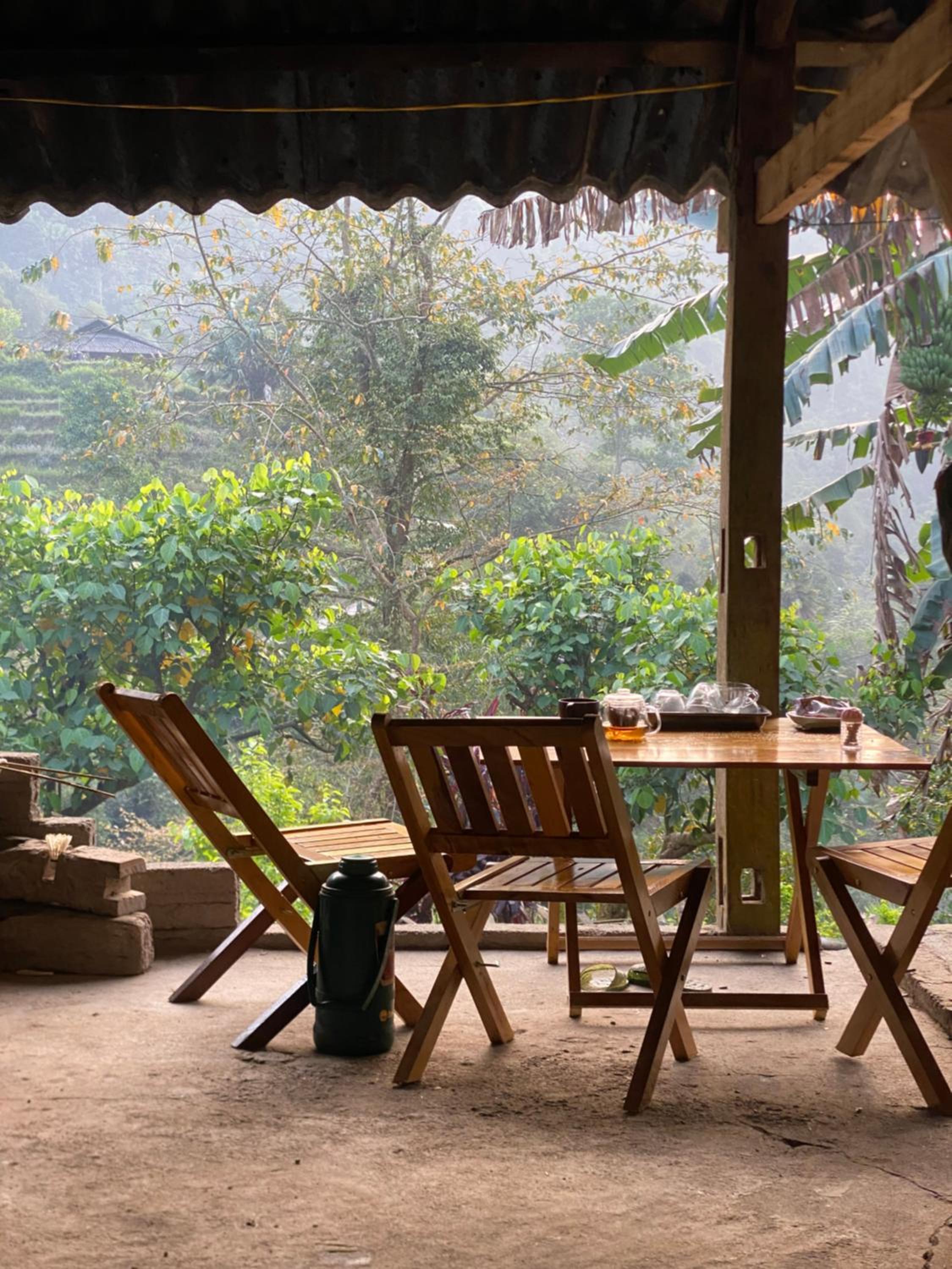Bikki's jungle homestay