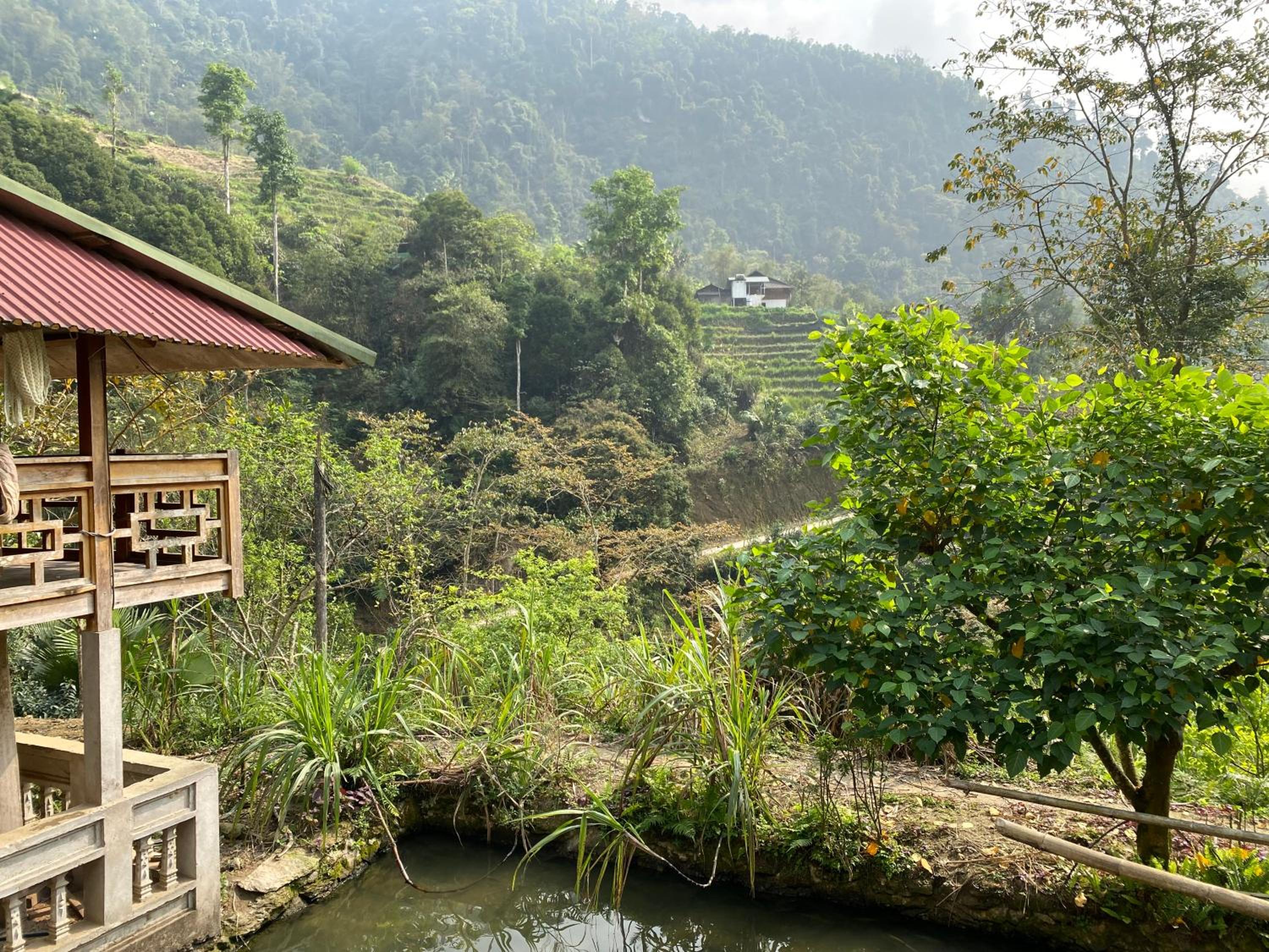 Bikki's jungle homestay