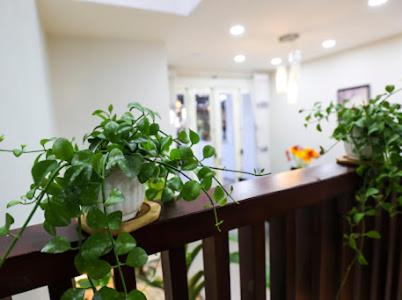 NTT House view 3