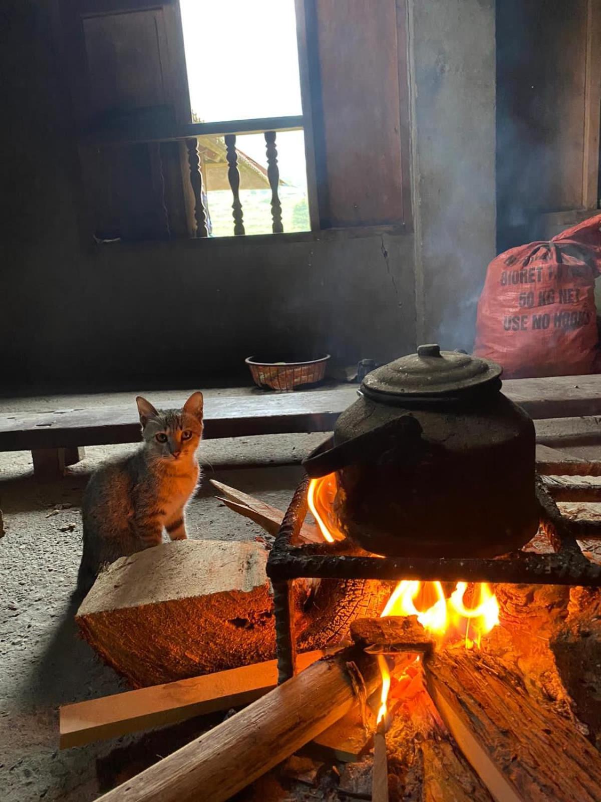 Bikki's jungle homestay