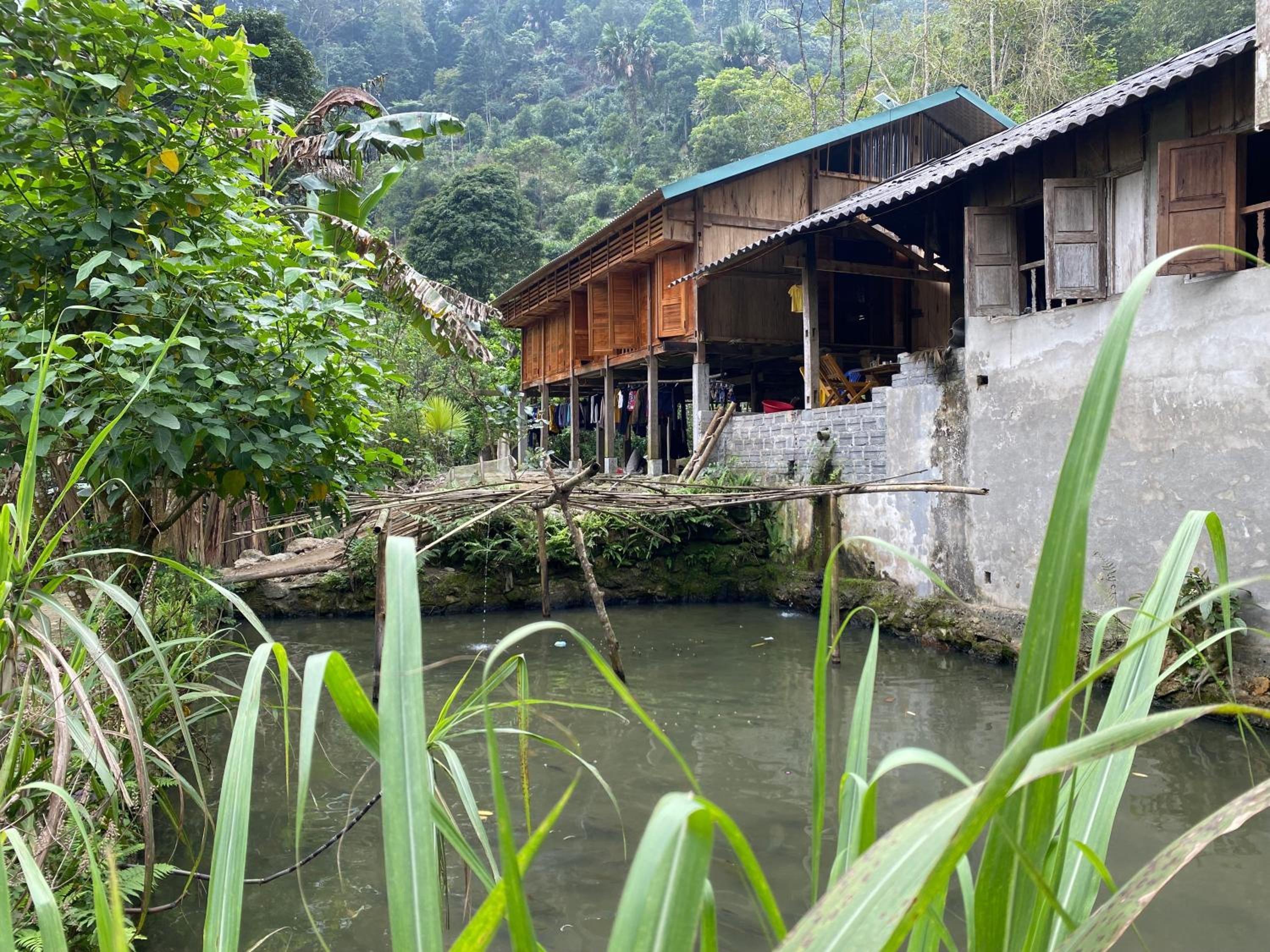Bikki's jungle homestay